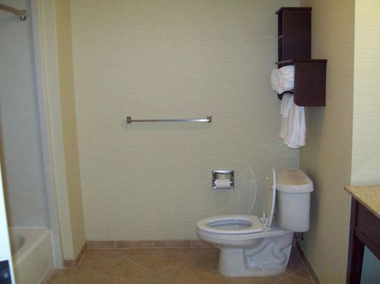 Фото Hampton Inn & Suites Baton Rouge/Port Allen