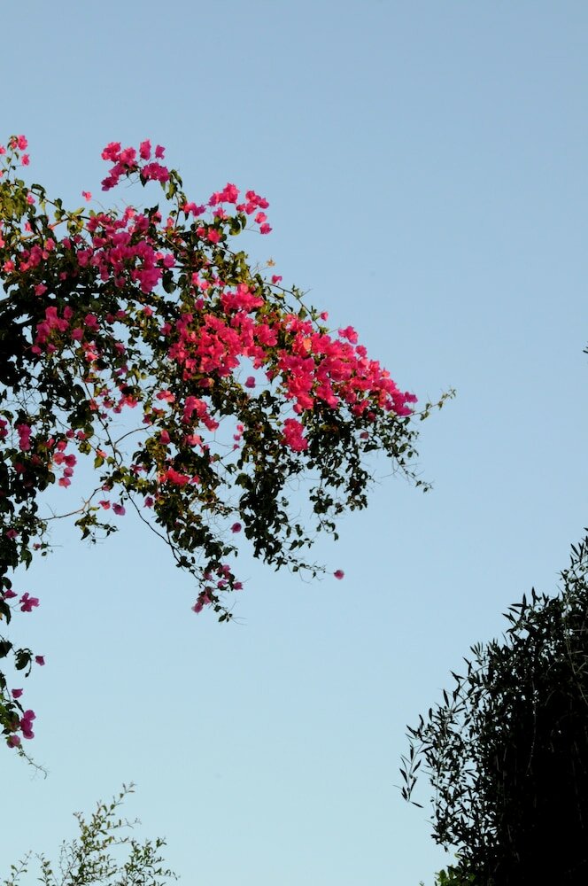 Фото Hersonissos Village