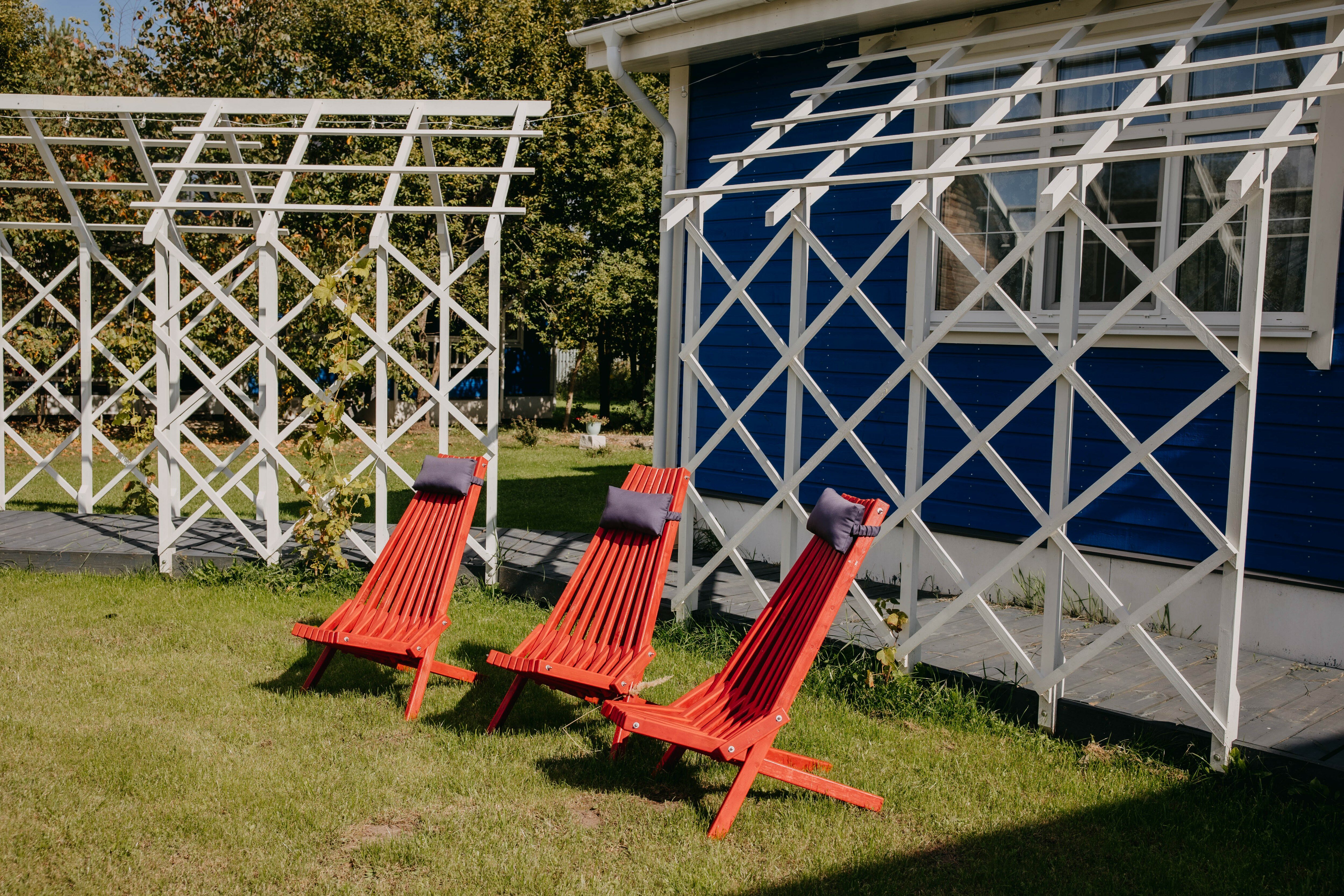 Фото Синяя синица