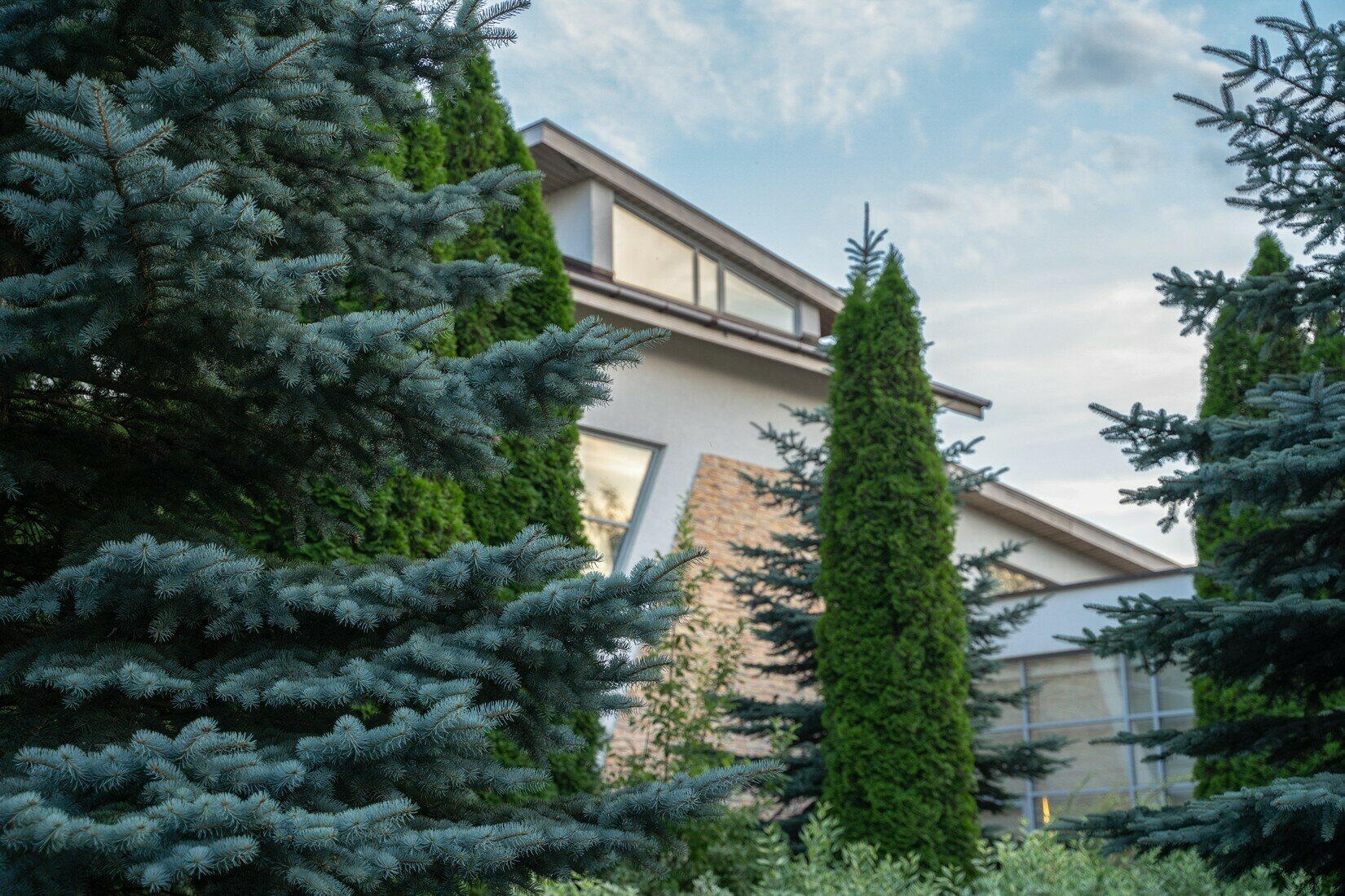 Фото Аристократ