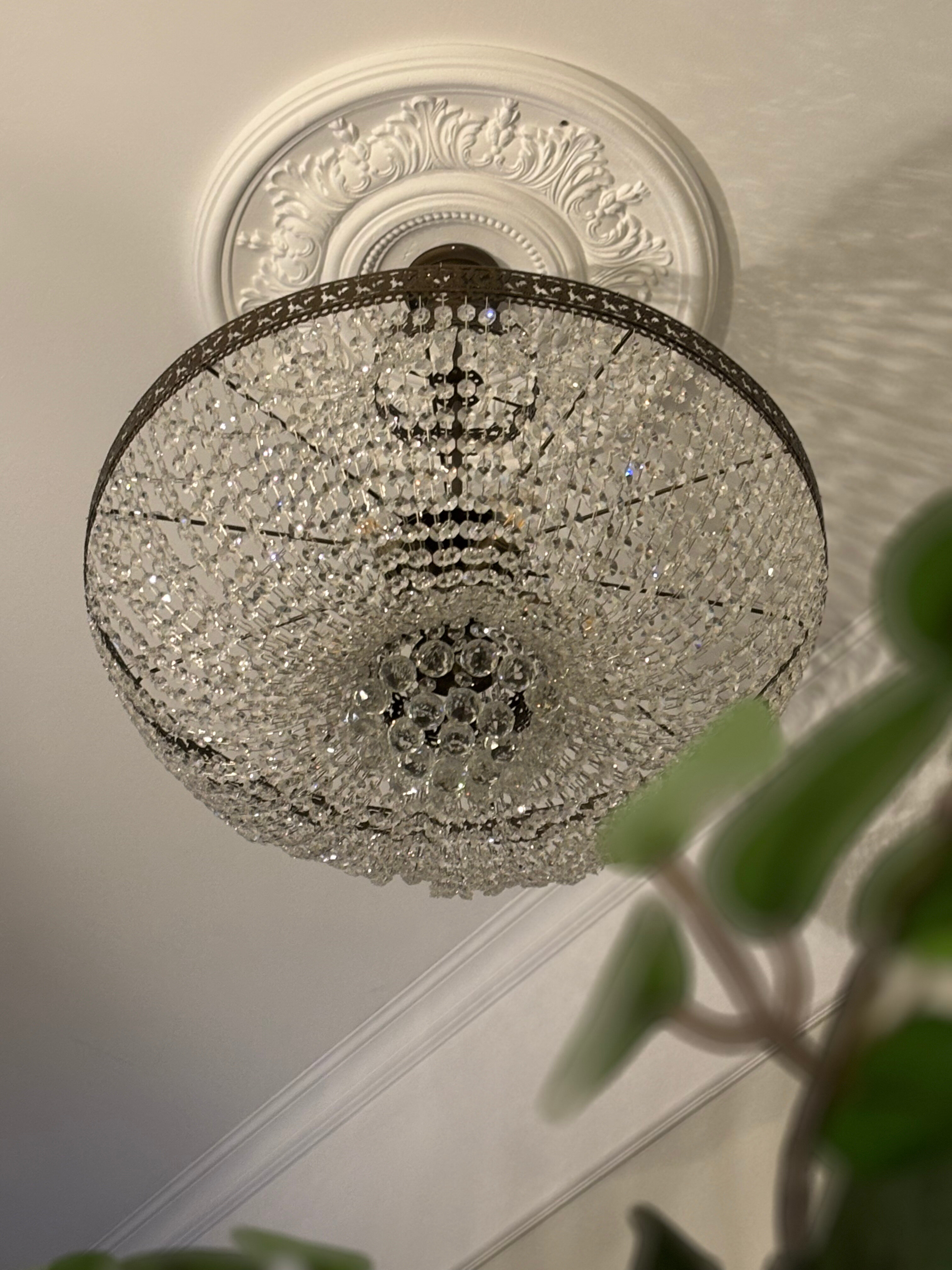 Фото Кристал