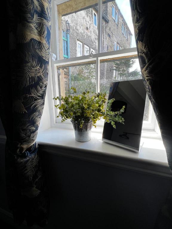 Фото Elephant & Castle