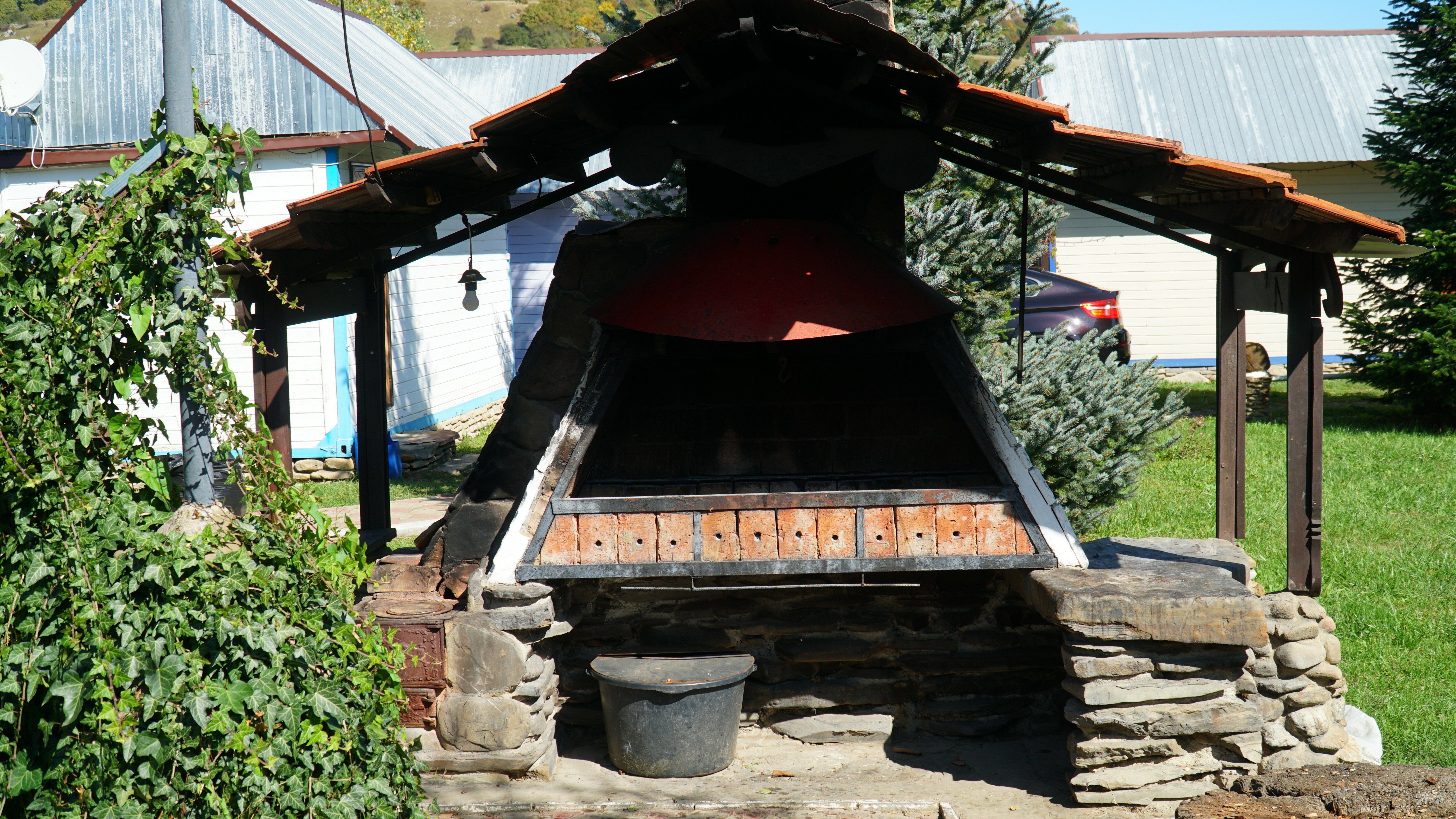 Фото Снежный Барс