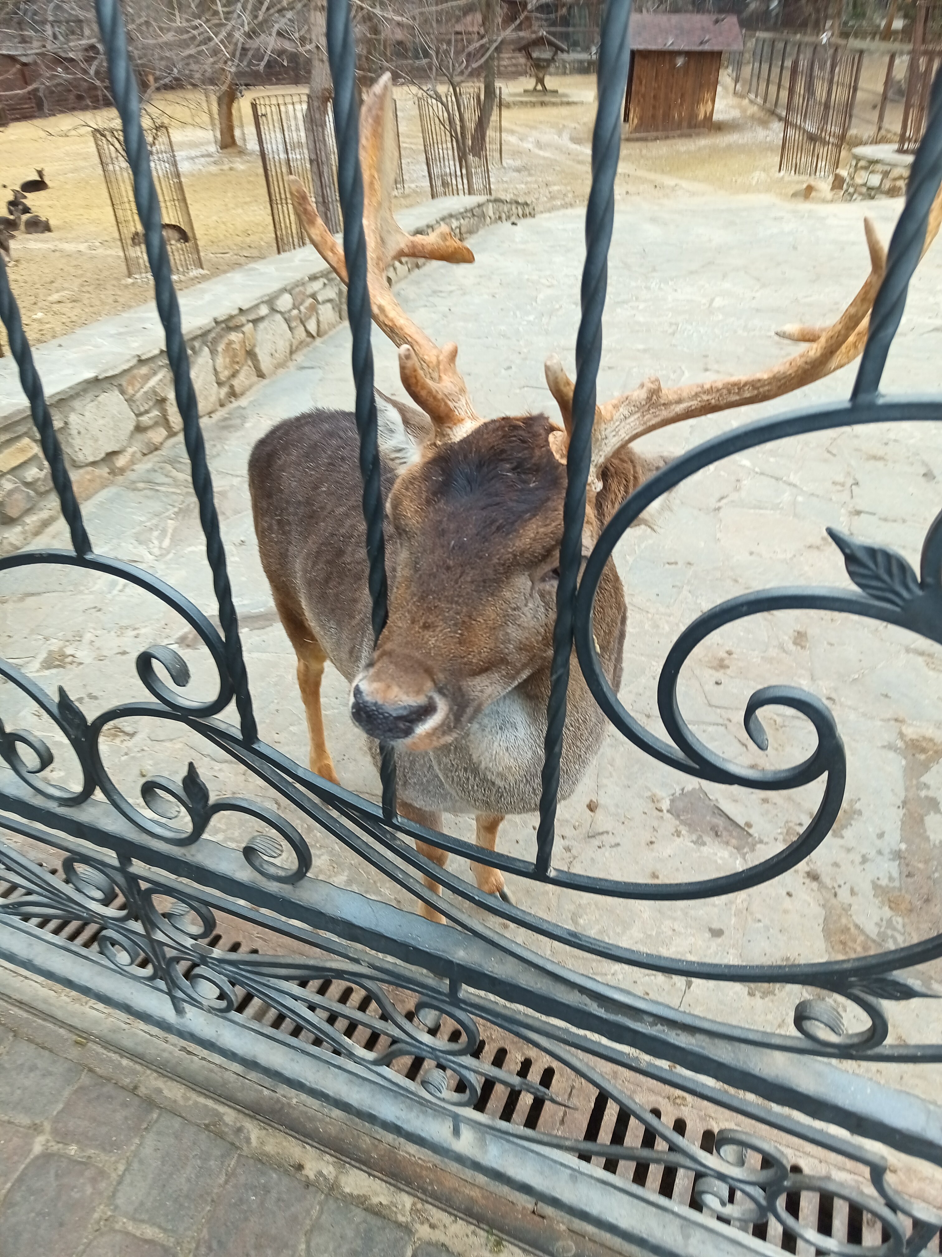 Фото Парк-отель Княжий