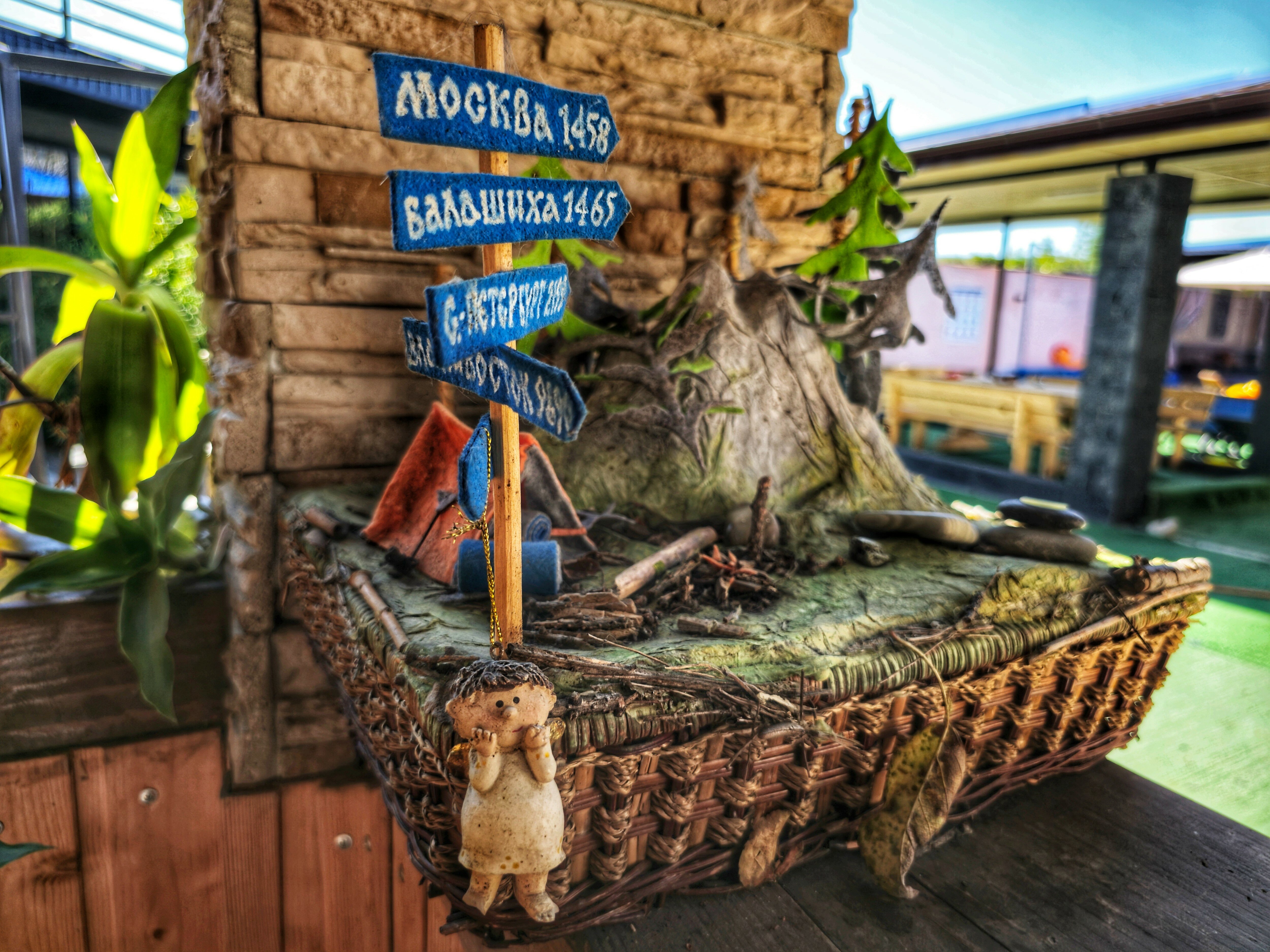 Фото Дети Гор