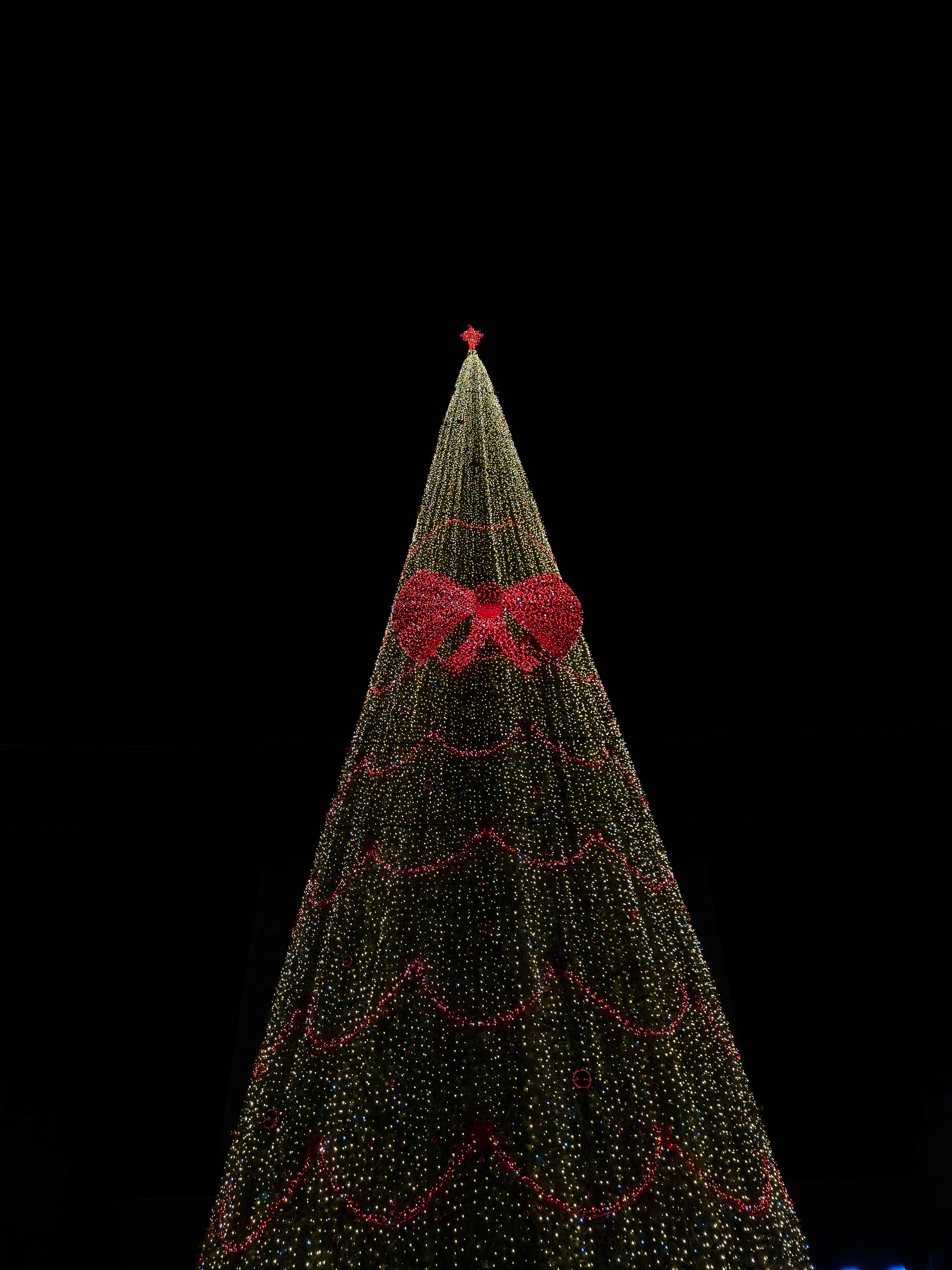 Фото У Кристины