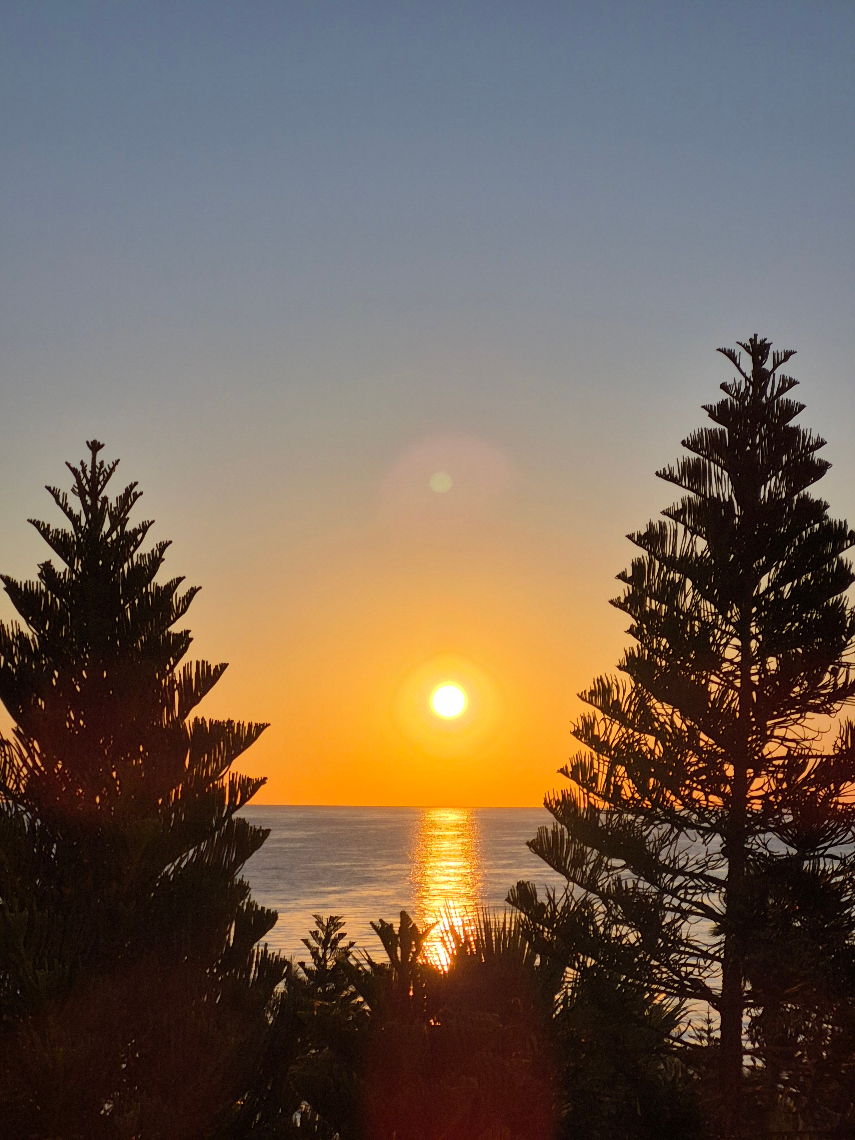 Фото Tui Magic Life Rixos Beldibi