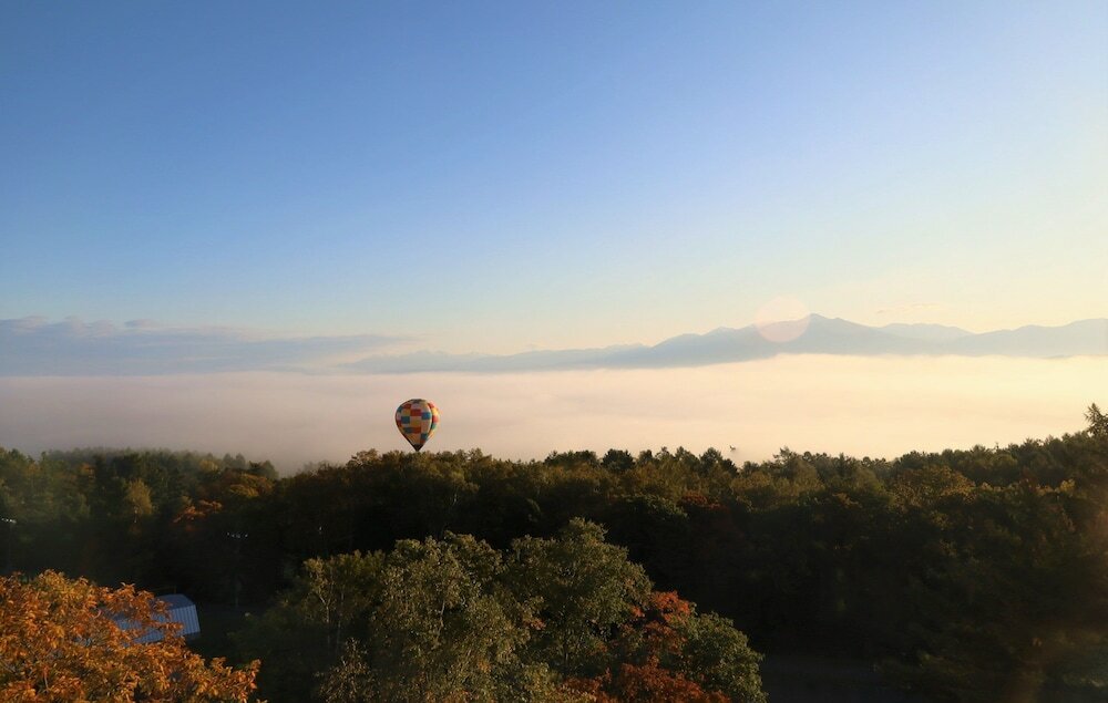 Фото Shin Furano Prince Hotel