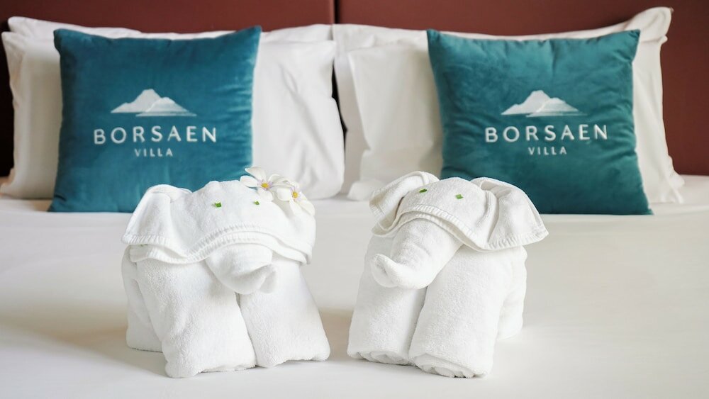 Фото Borsaen Villa