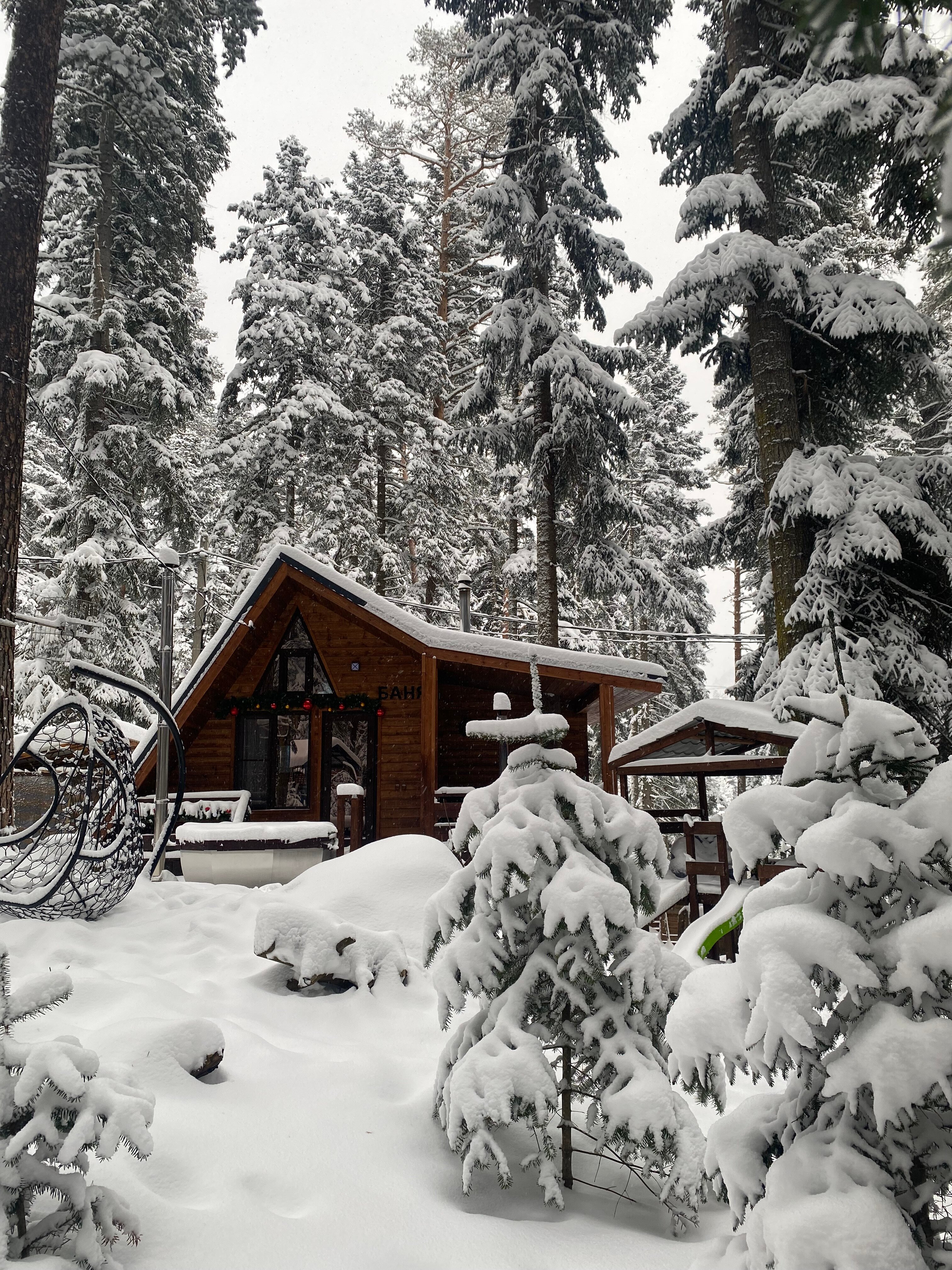 Фото Ёлки House