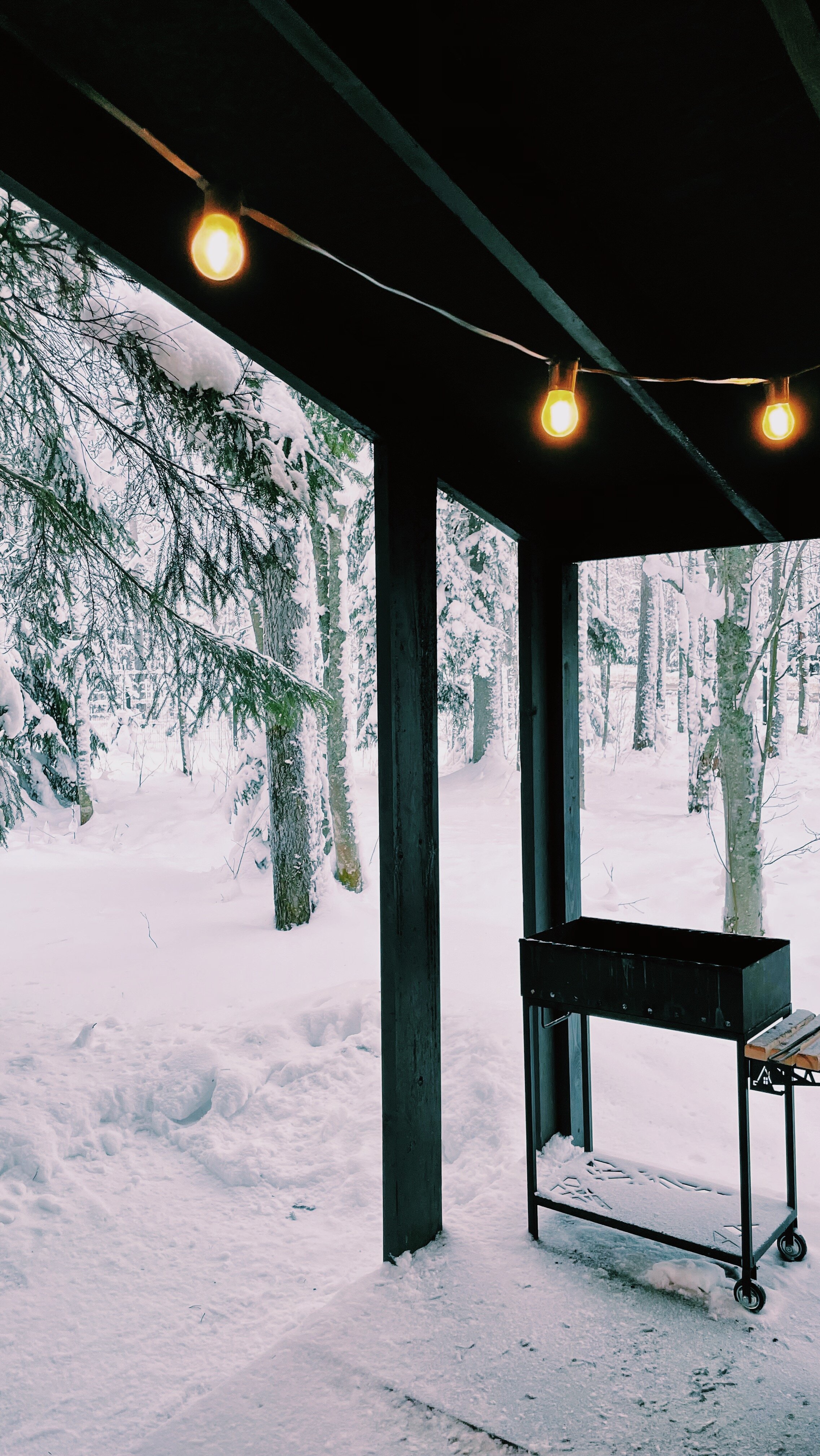 Фото Черника