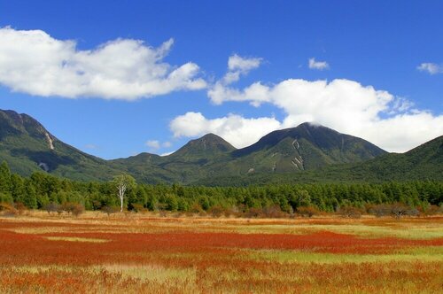 Гостиница Okunikko Konishi Hotel в Префектуре Тотиги