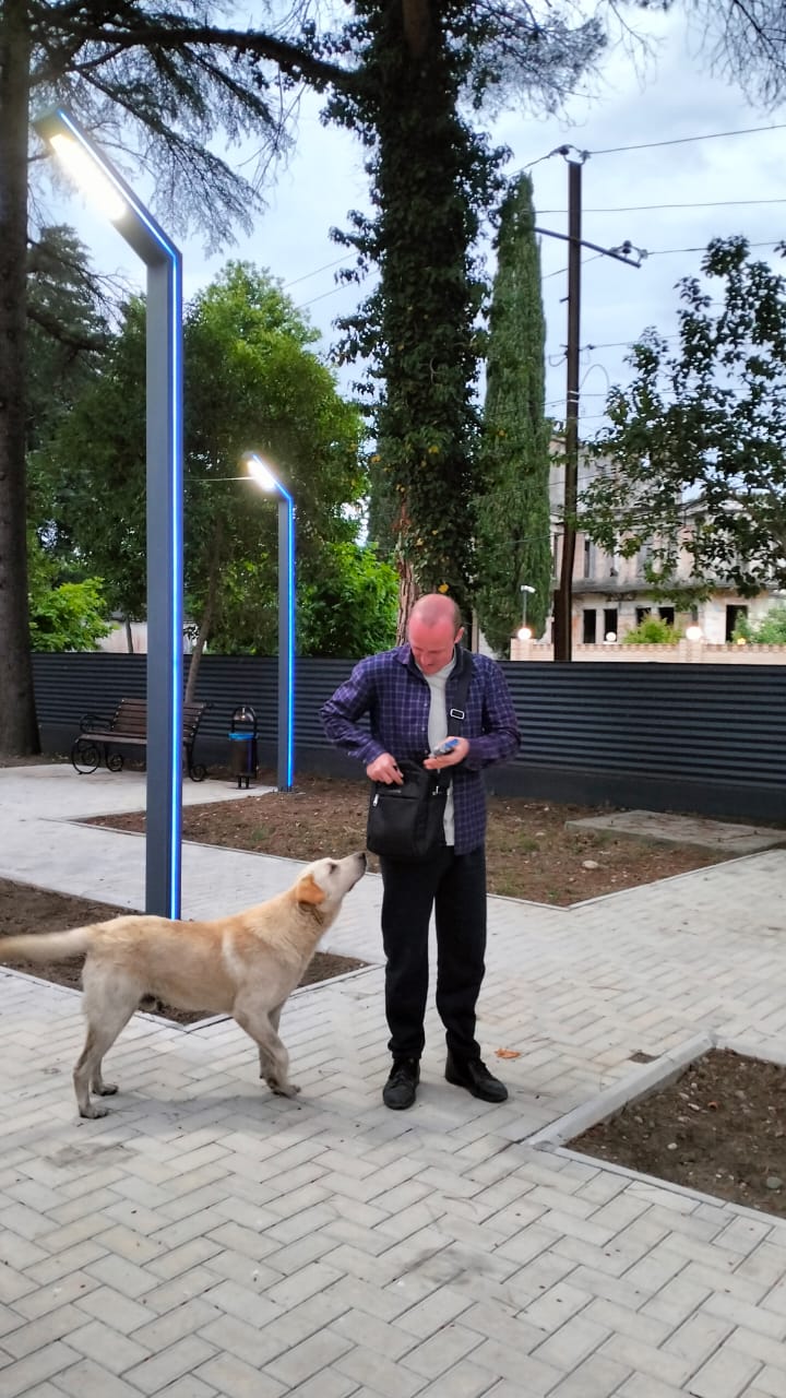 Фото Шоколад