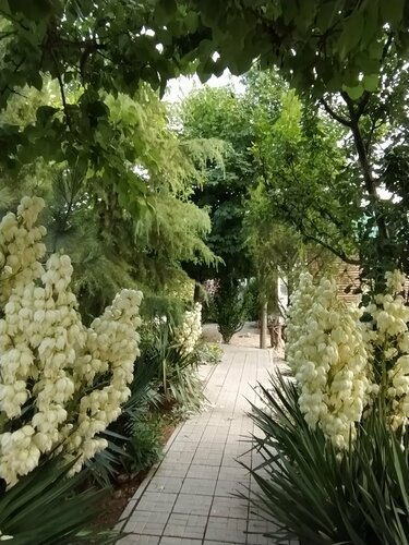 Усадьба Зайбель  фото 4