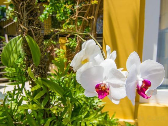 Фото La Chimere Buzios Essence