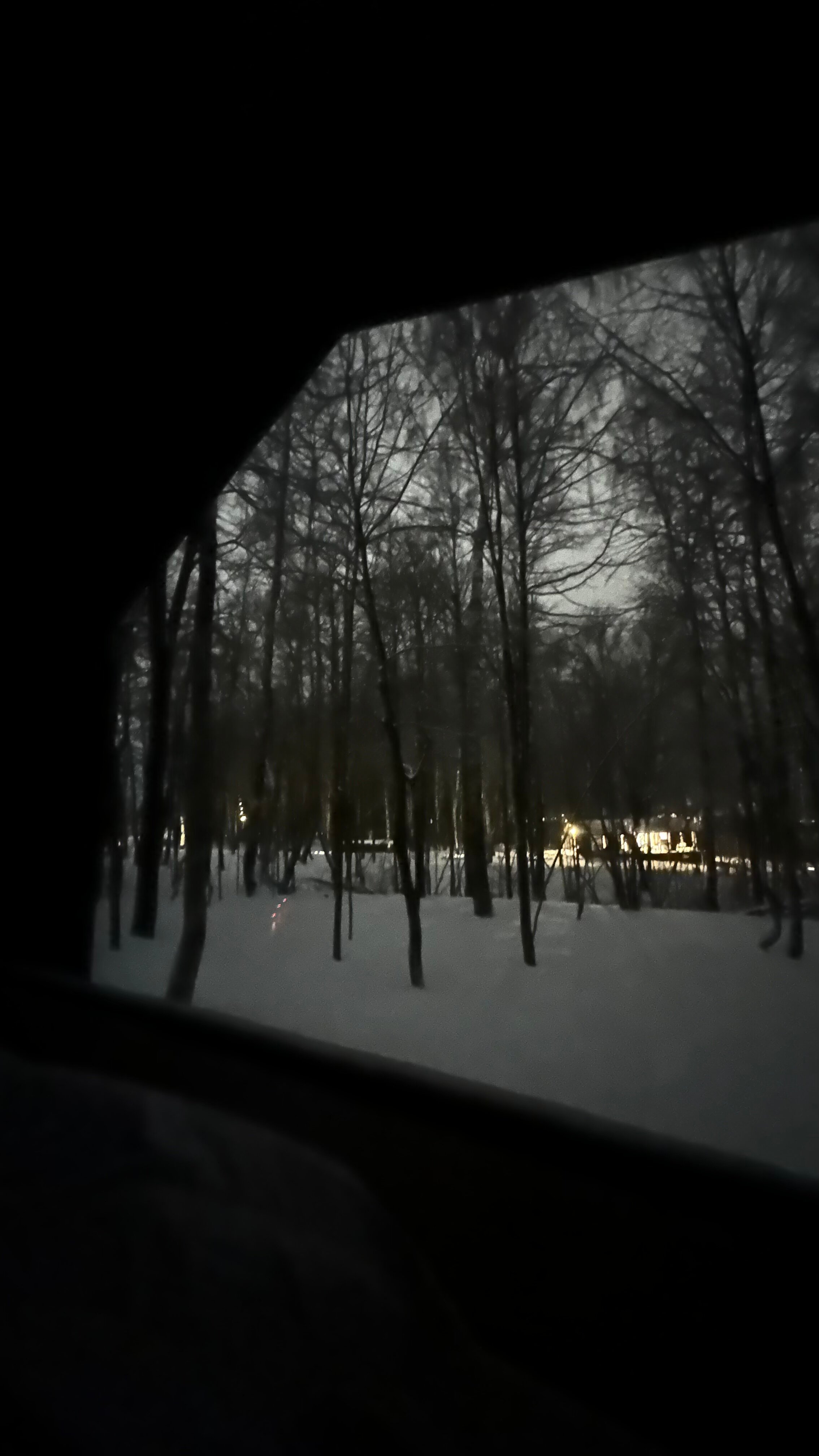 Фото Тополь. Дом