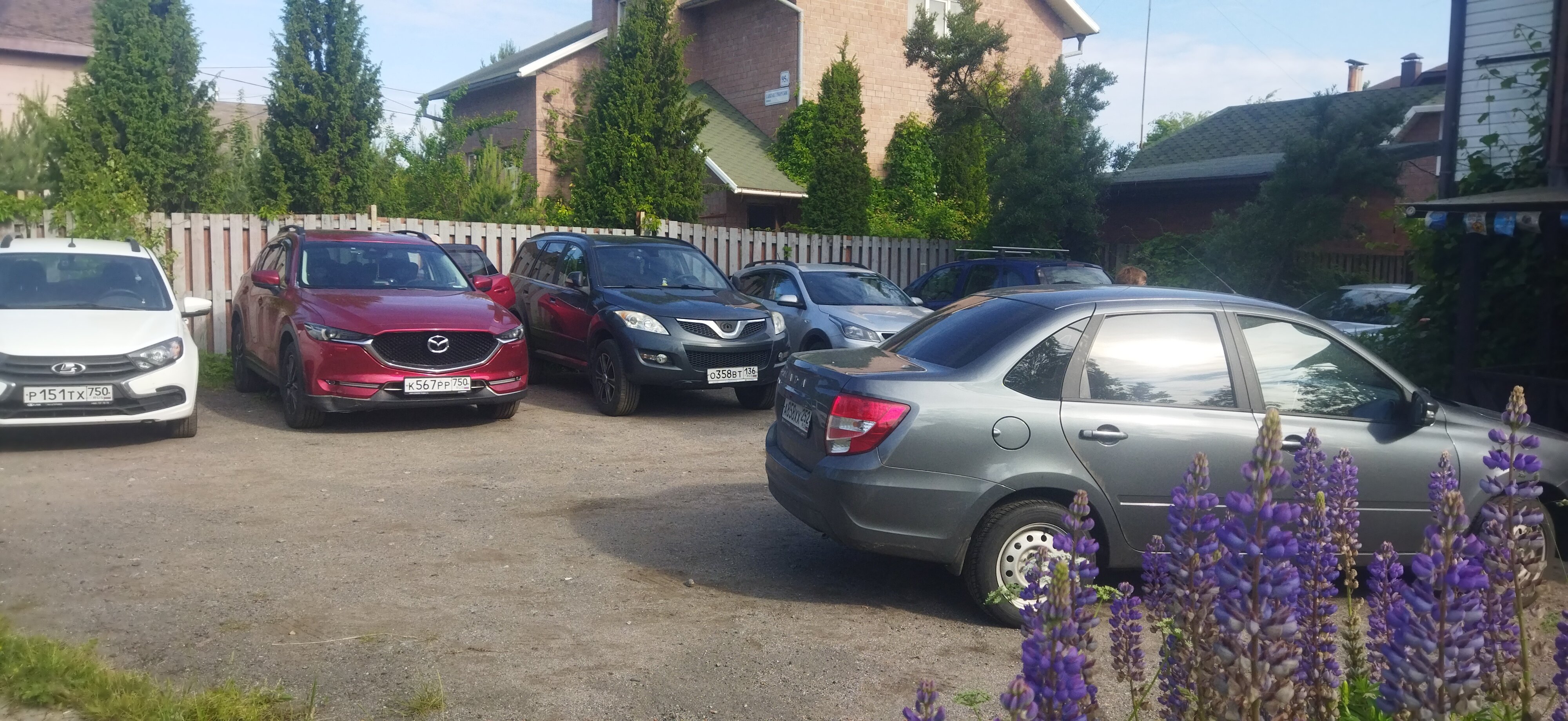 Фото Старая Стрельна