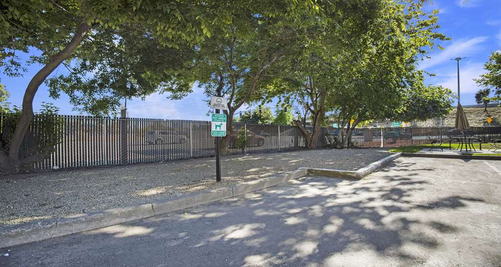 Фото SureStay Plus Hotel by Best Western Sacramento North