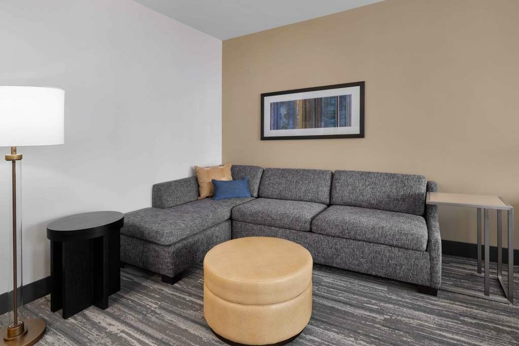 Фото Hampton Inn & Suites Denver Downtown-Convention Center
