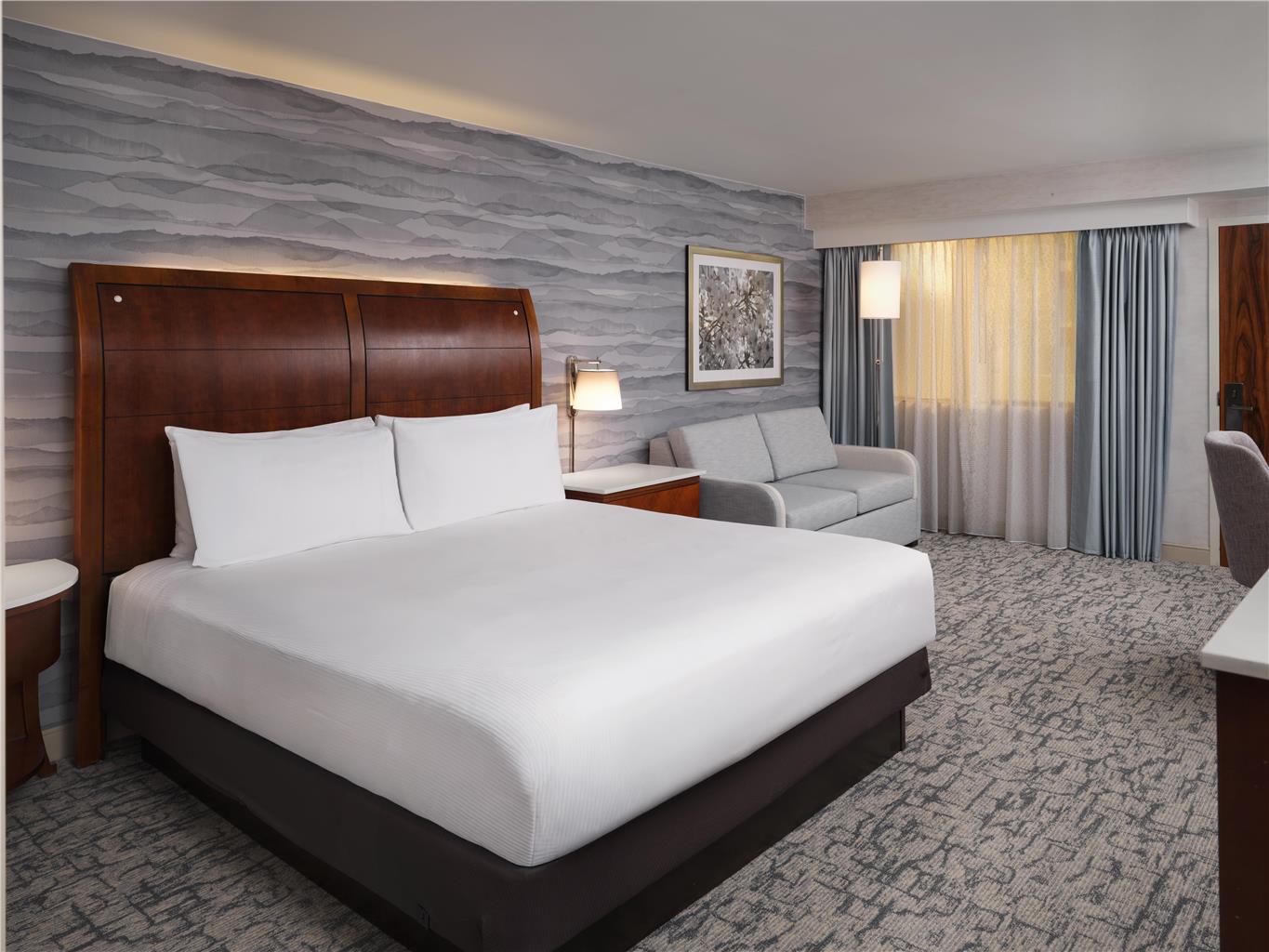 Фото Hilton Washington Dc/Rockville Executive Meeting Center