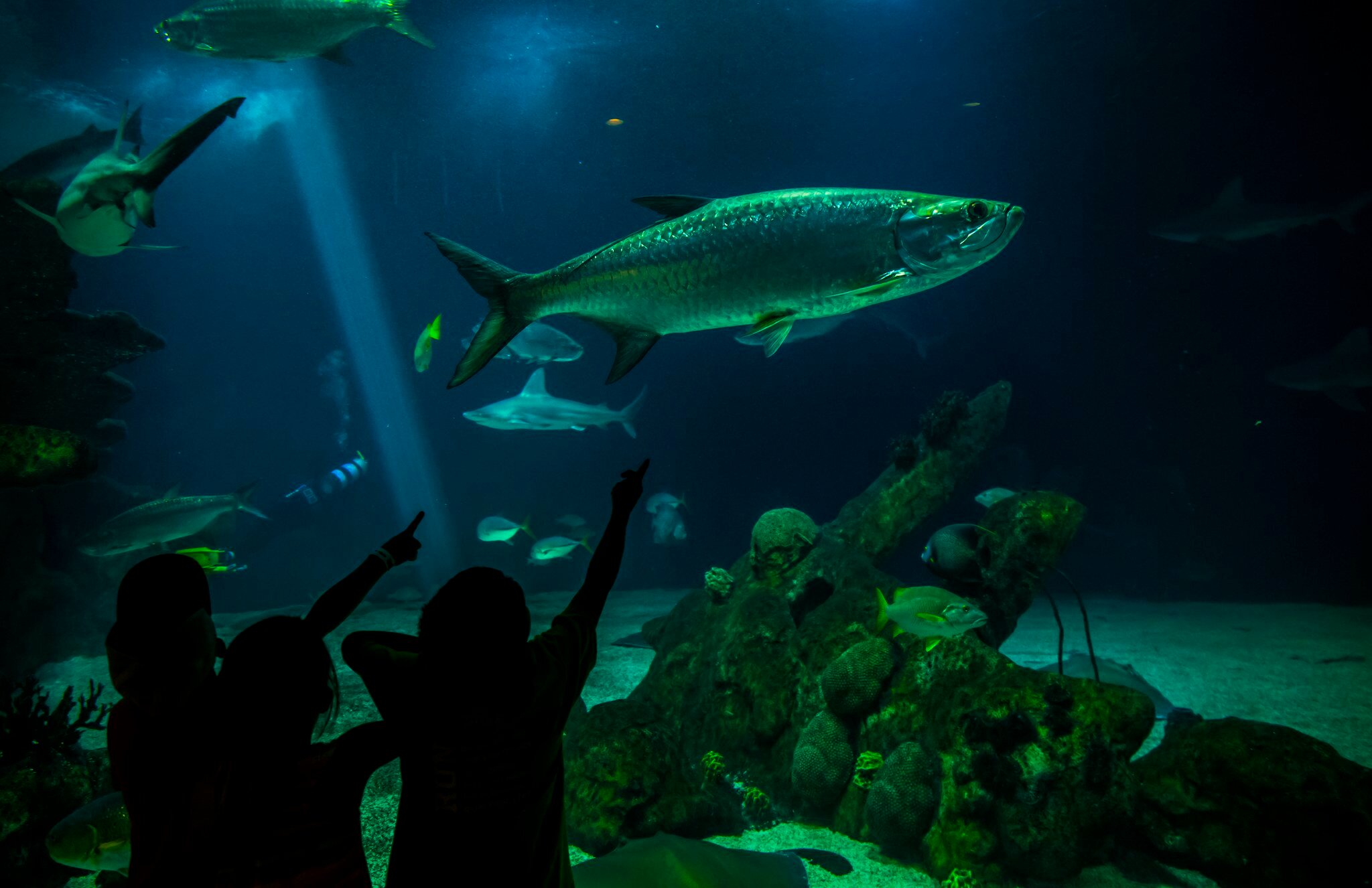 Фото Holiday Inn Express & Suites Albuquerque Historic Old Town, an Ihg Hotel