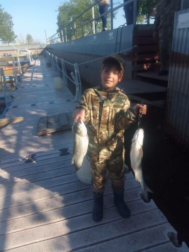 Fish-club фото 8