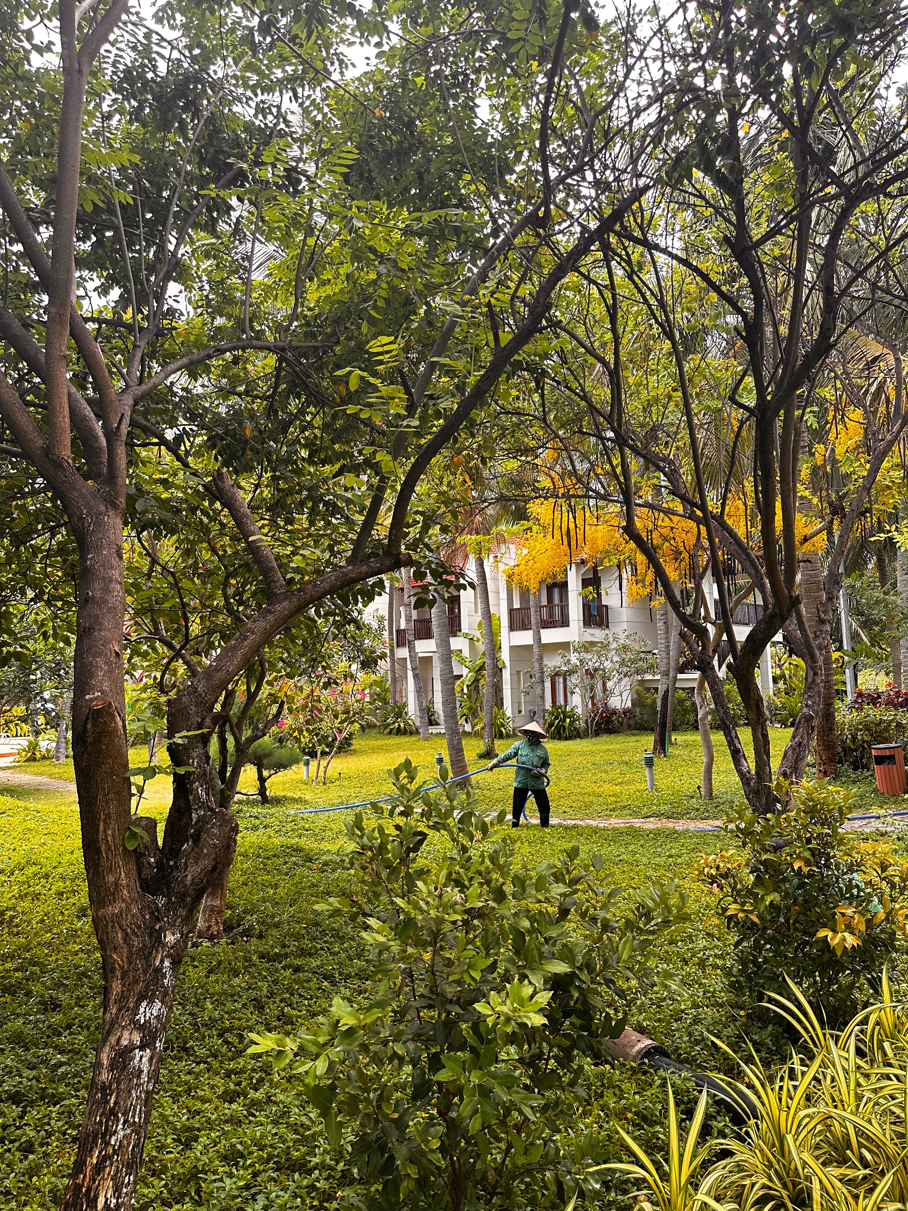 Фото Pax Ana Doc Let Resort & SPA