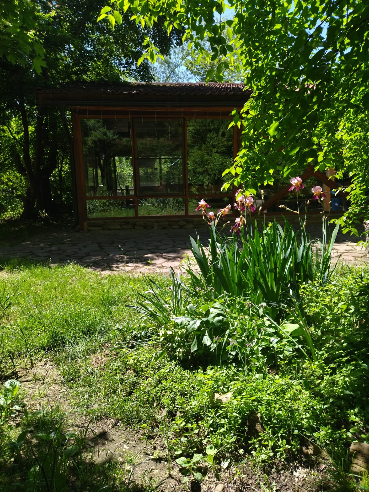 Фото Поляна Убинская