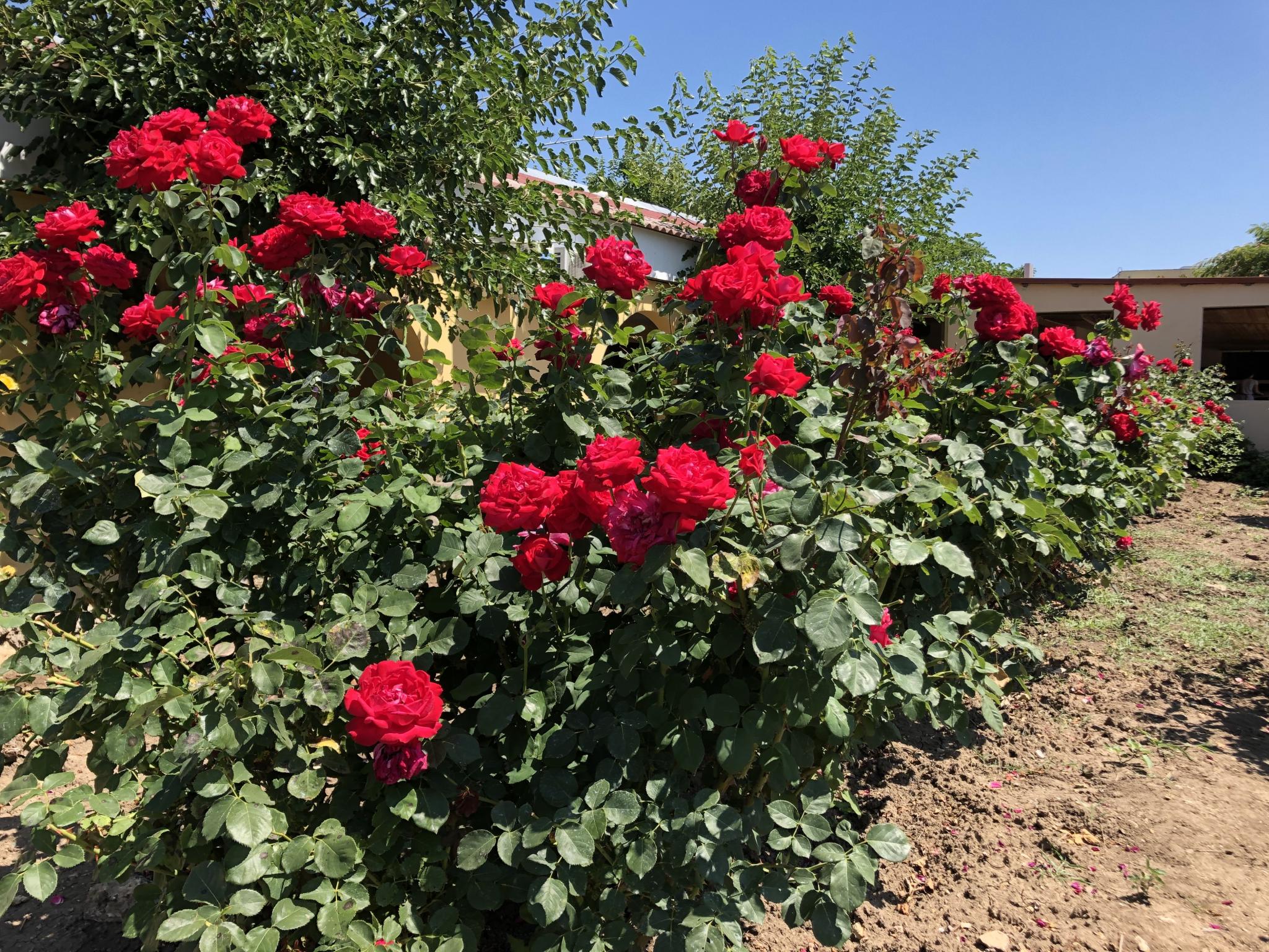 Фото Город-Ок