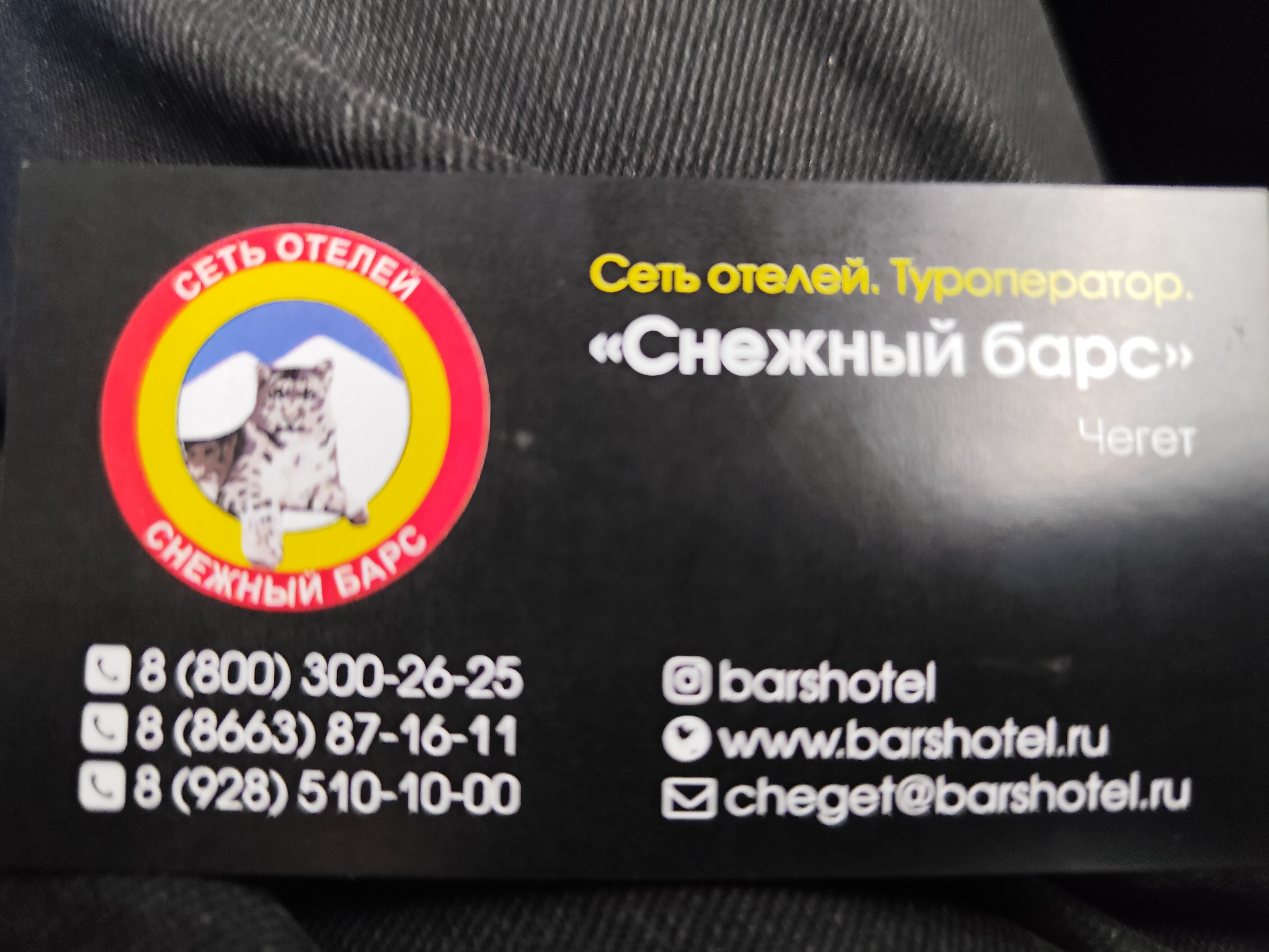 Фото Снежный Барс