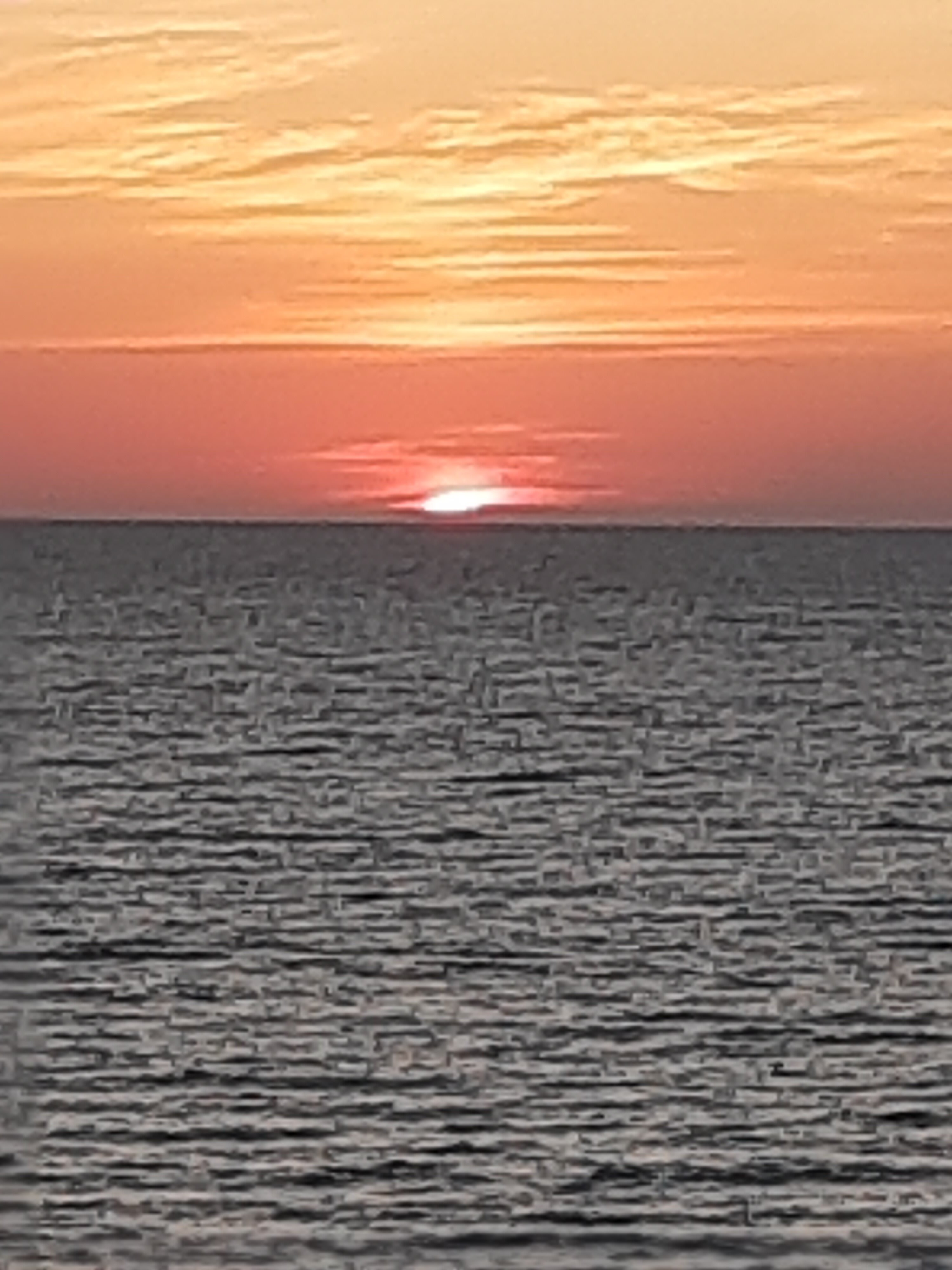 Фото Гостиница у Лукоморья