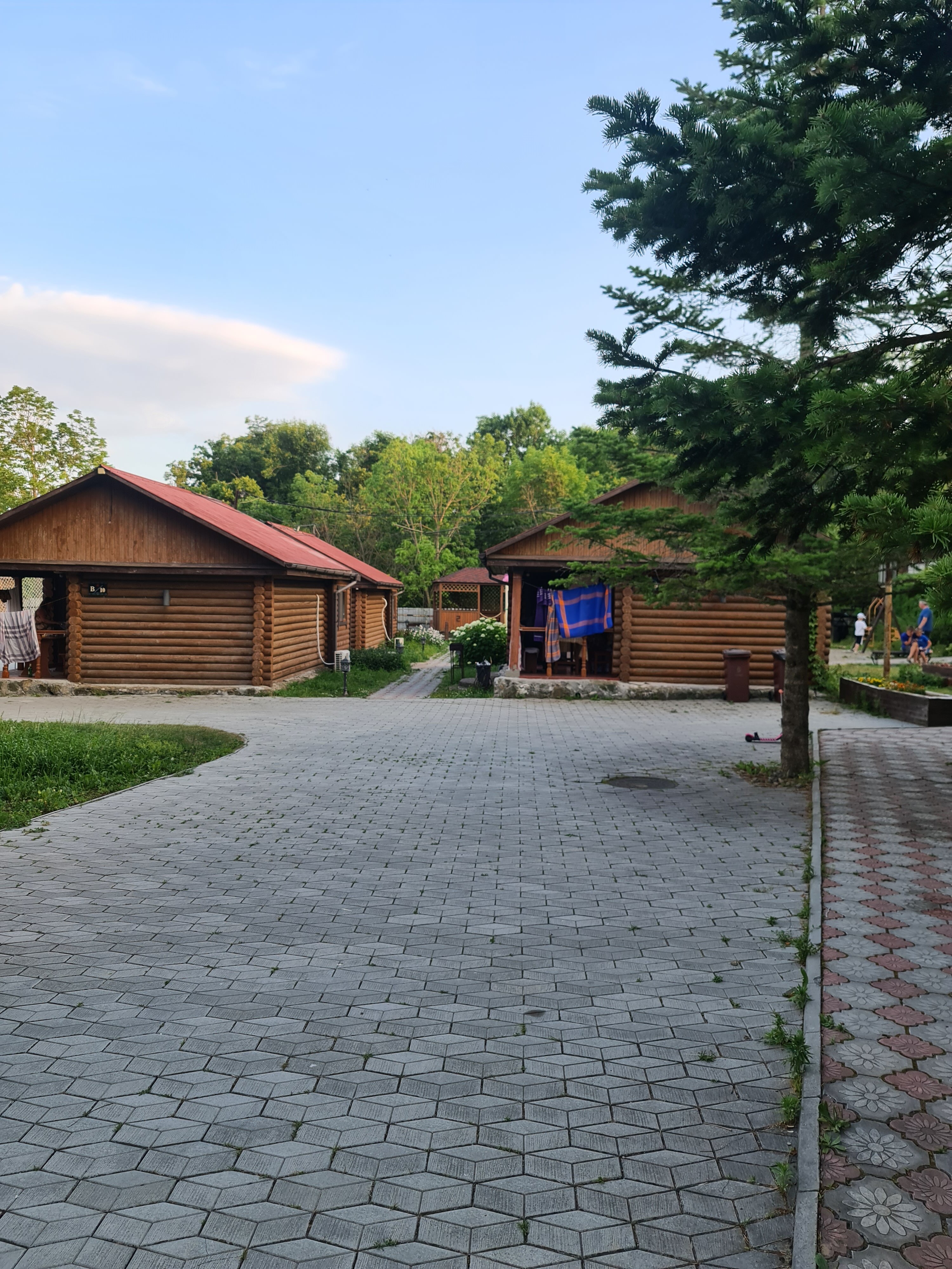 Фото Алые паруса