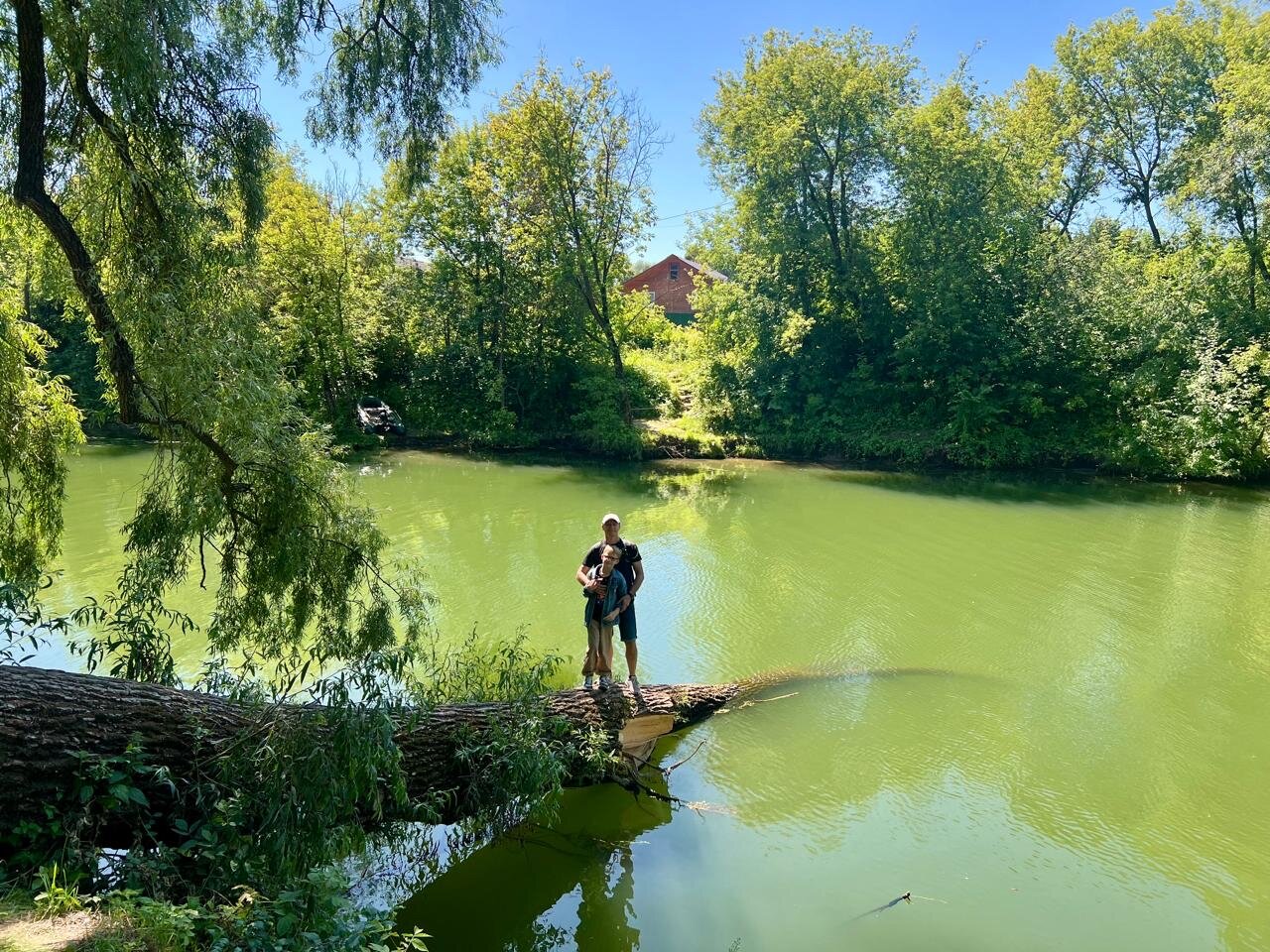 Фото Лебяжье