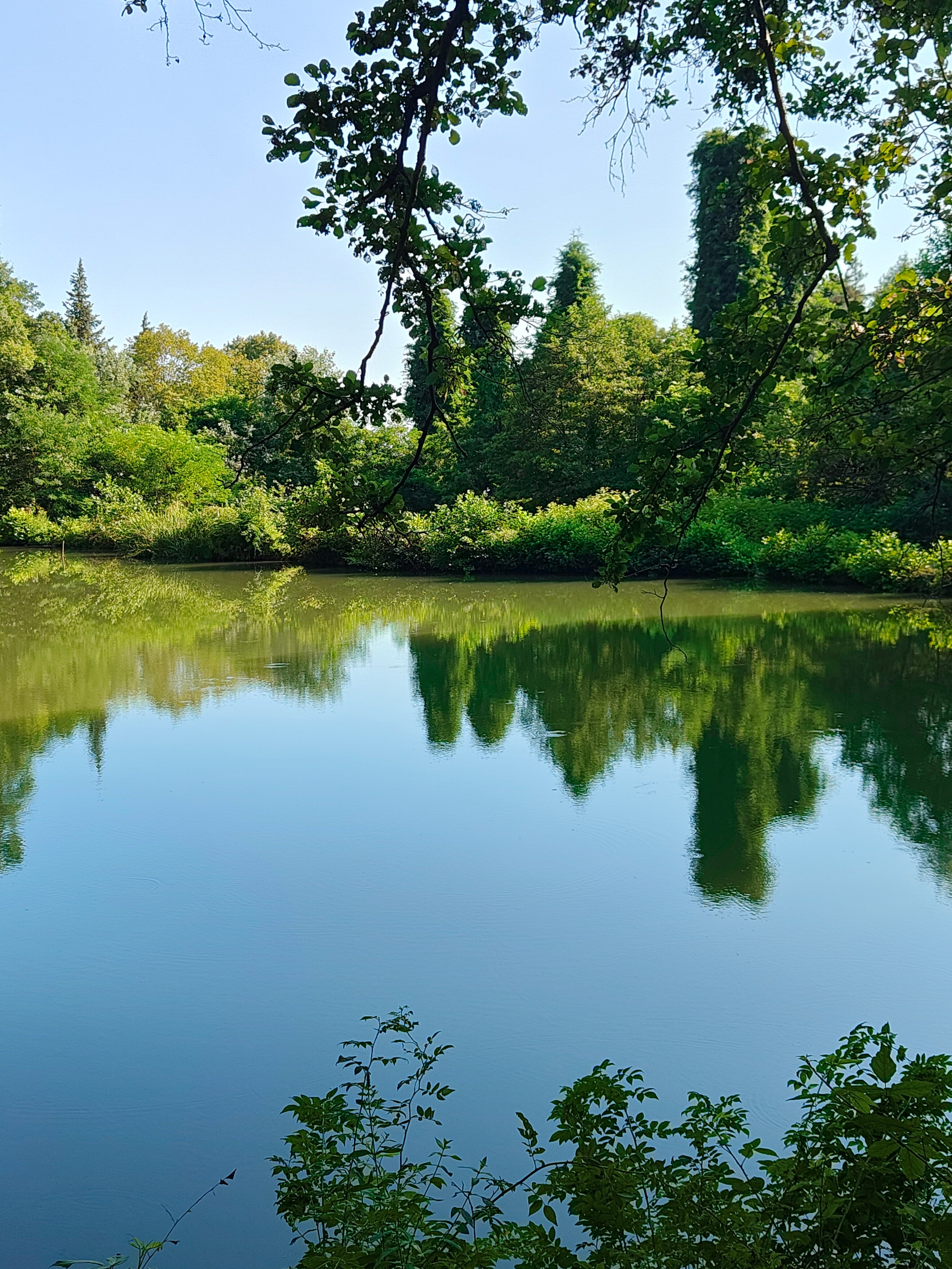 Фото Арагац 2