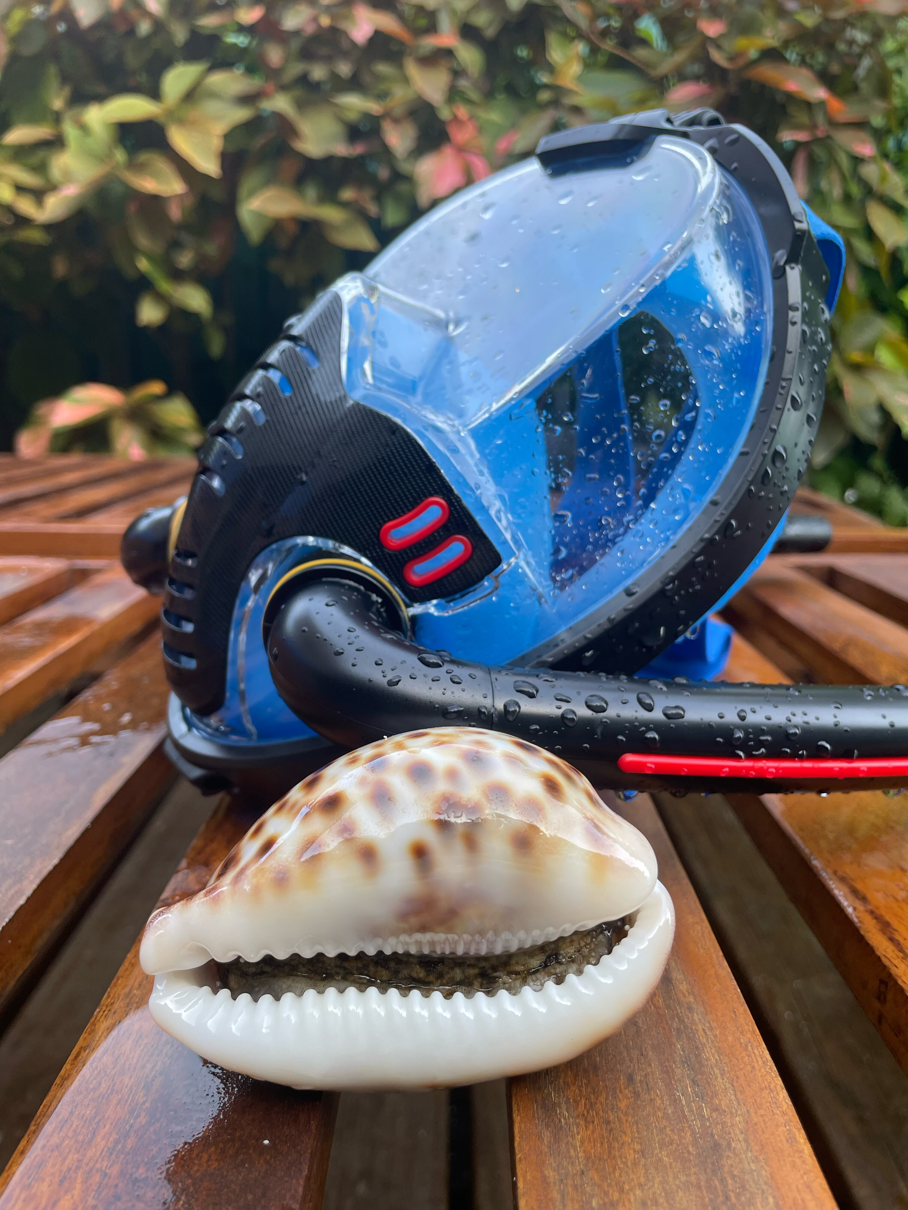 Фото Reethi Faru Resort Hotel