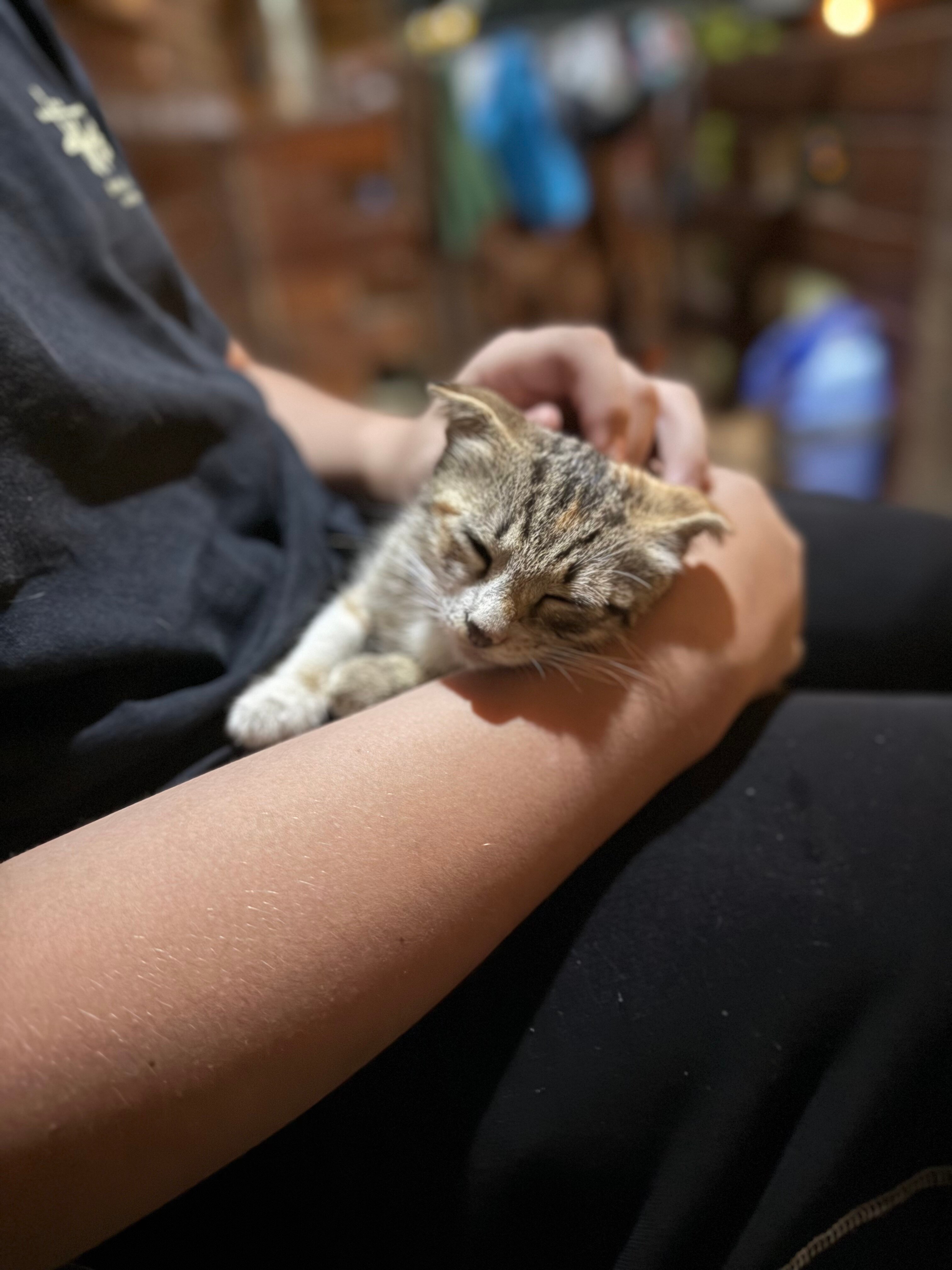 Фото 192517484496