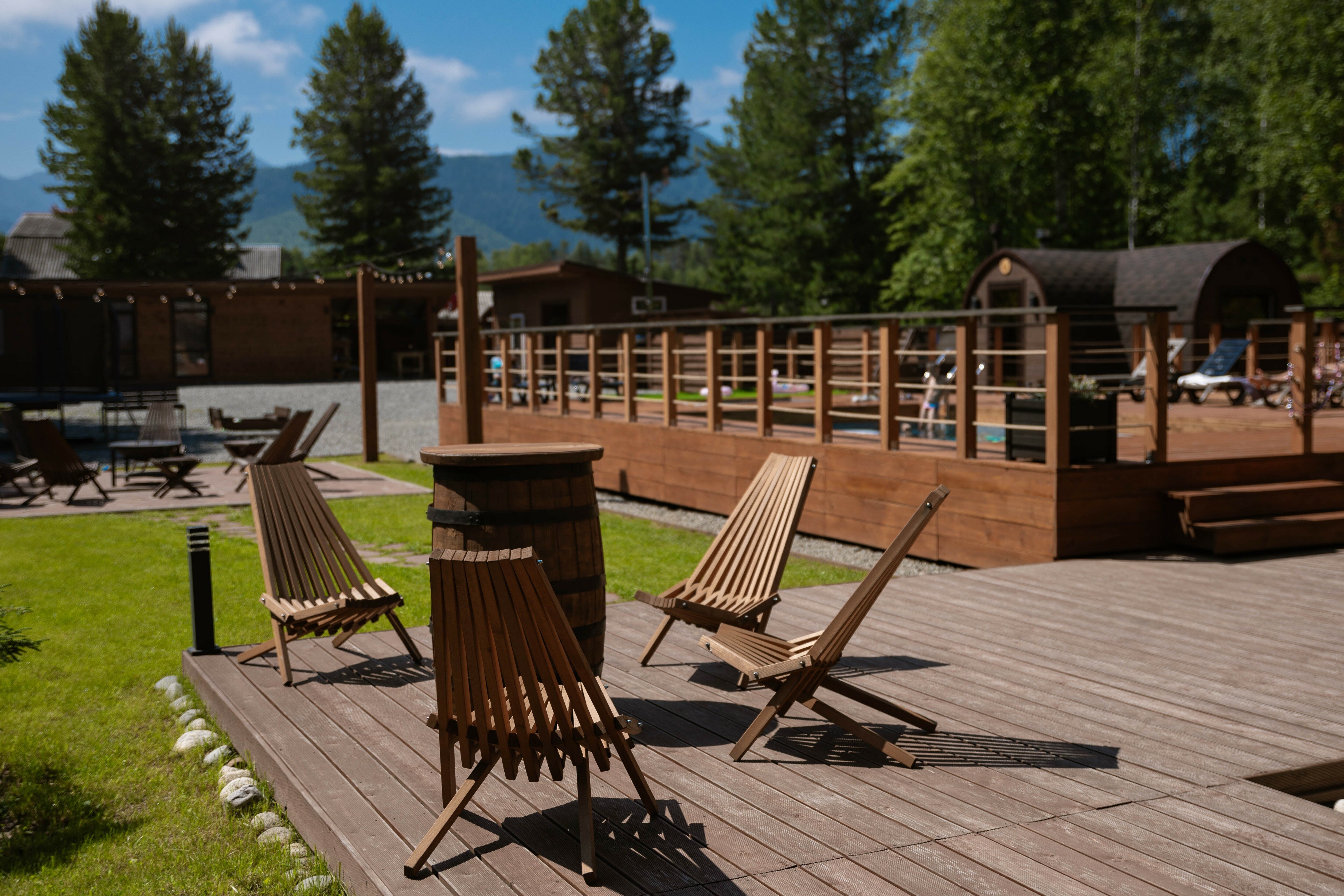 Фото Шишки