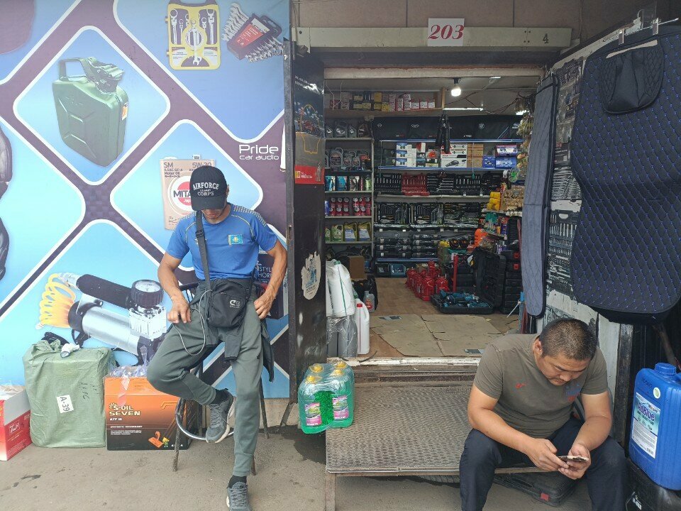 Auto accessories Auto Oils Auto Covers, Astana, photo