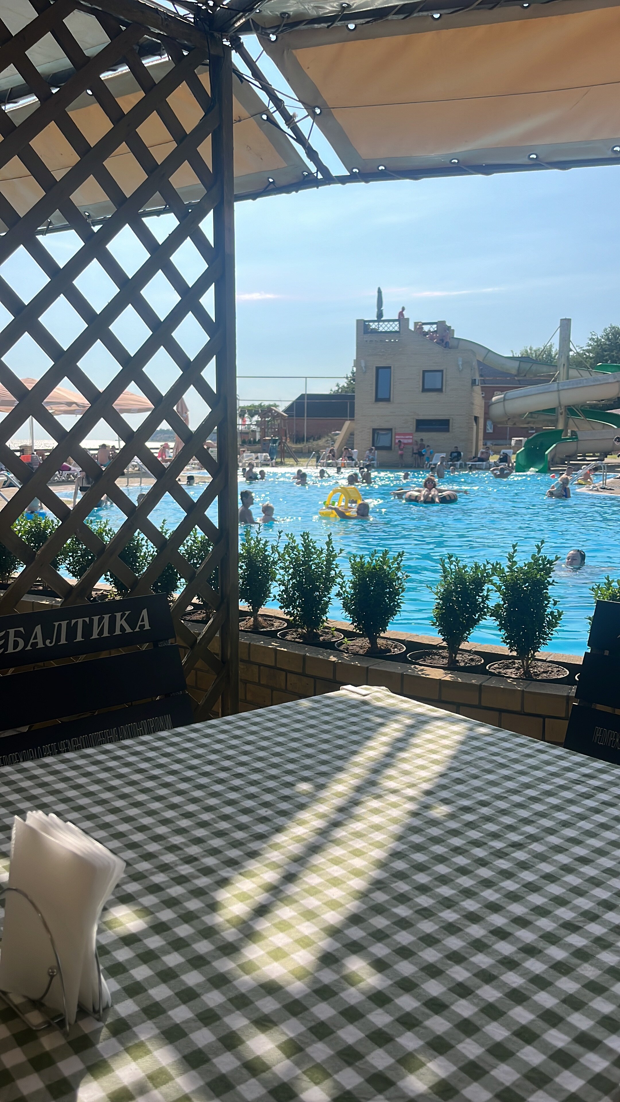 Фото Золотое Руно