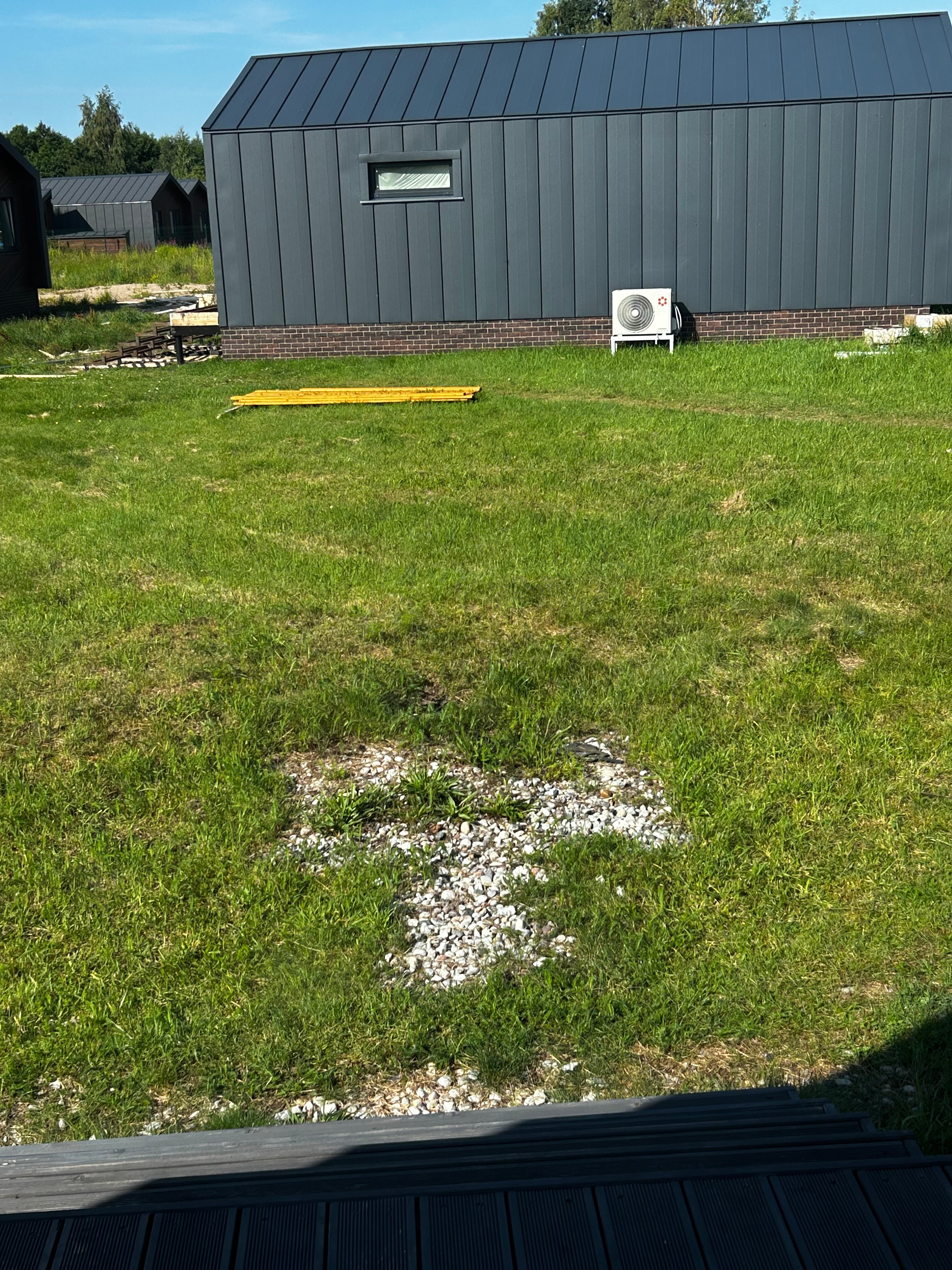 Фото Малина