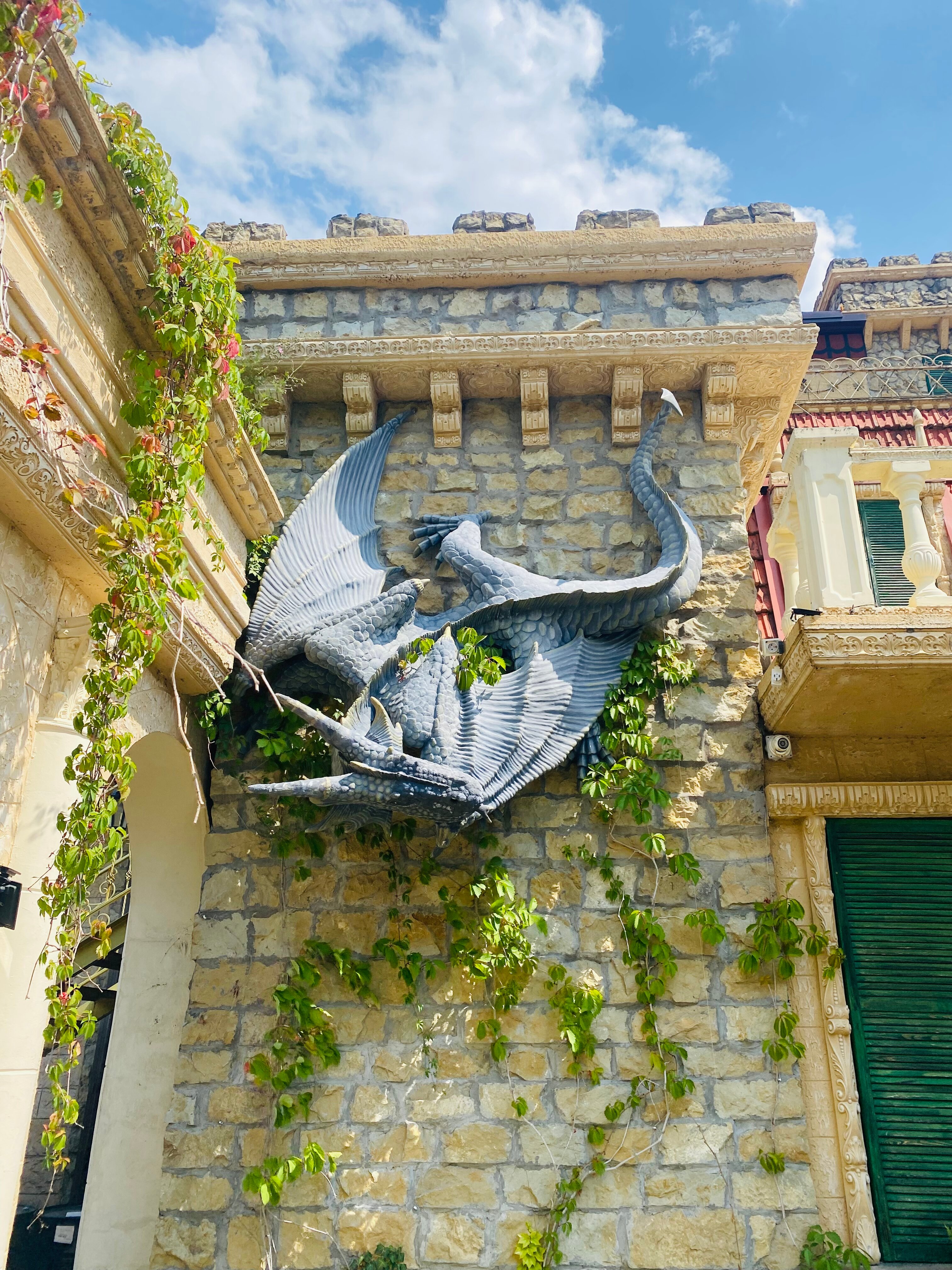 Фото Крылья