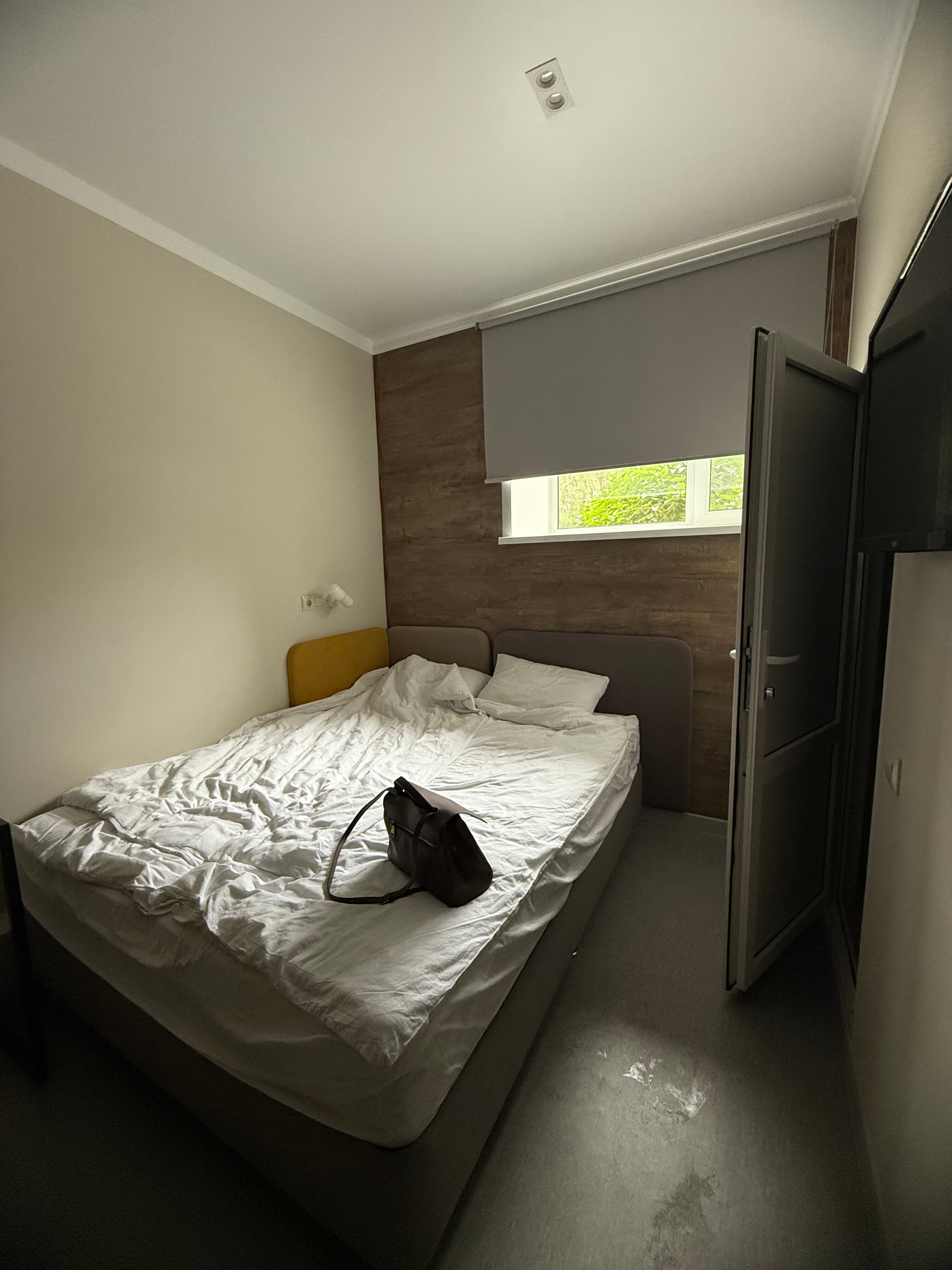 Фото Кукуруза