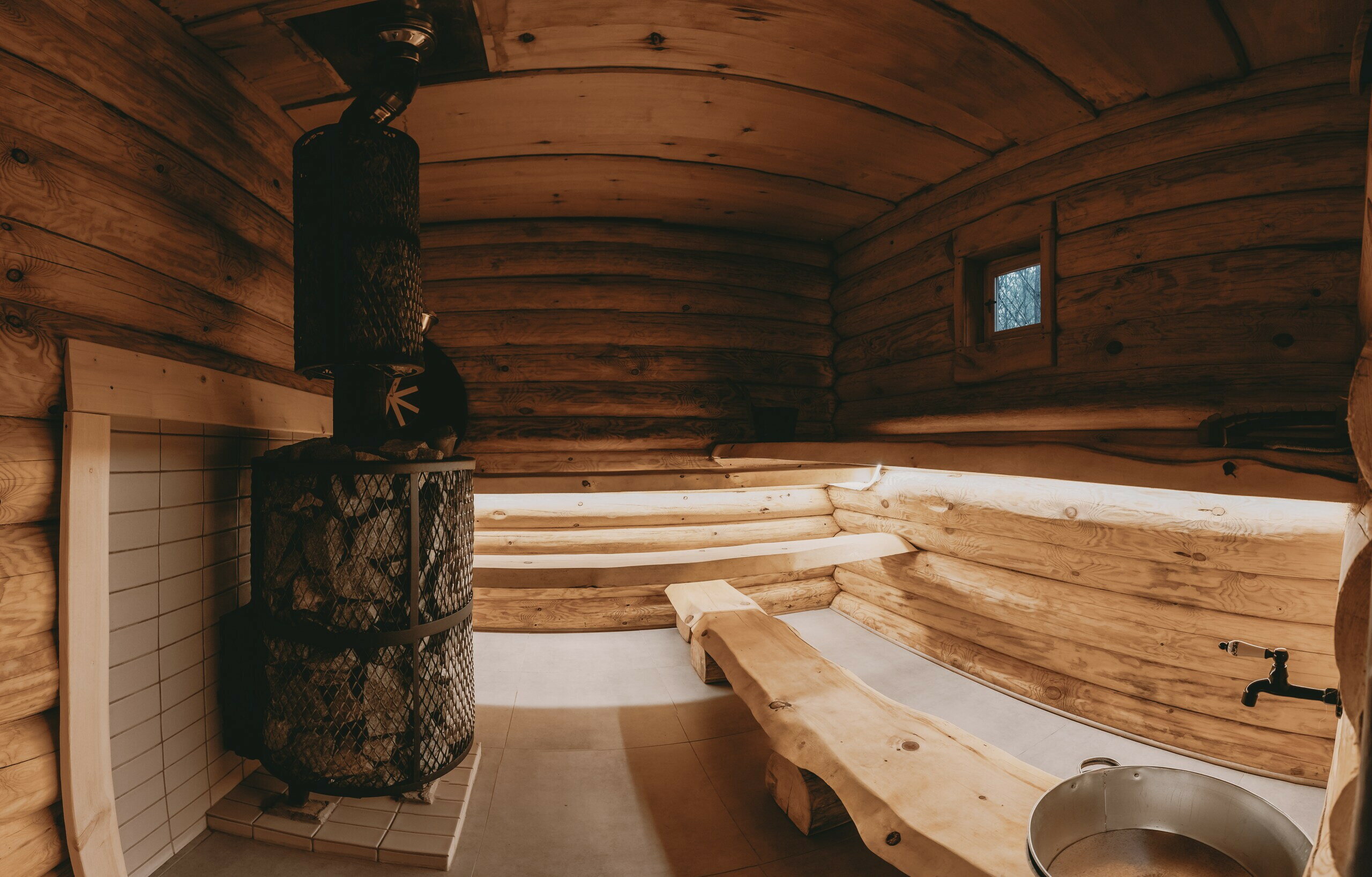 Фото Место под соснами