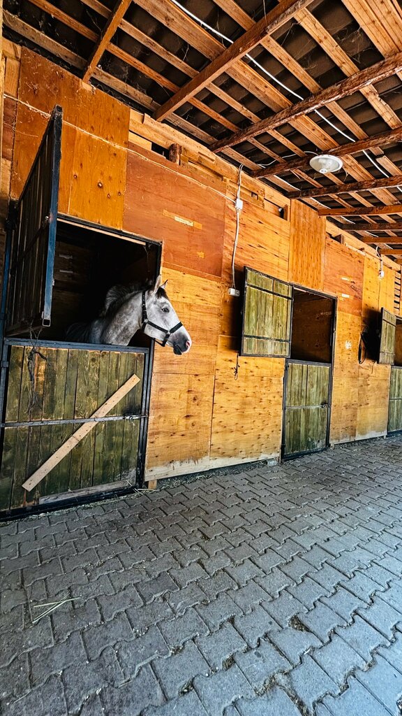 Cafe Poyrazlar Golbasi Meat Grill, Adapazari, photo