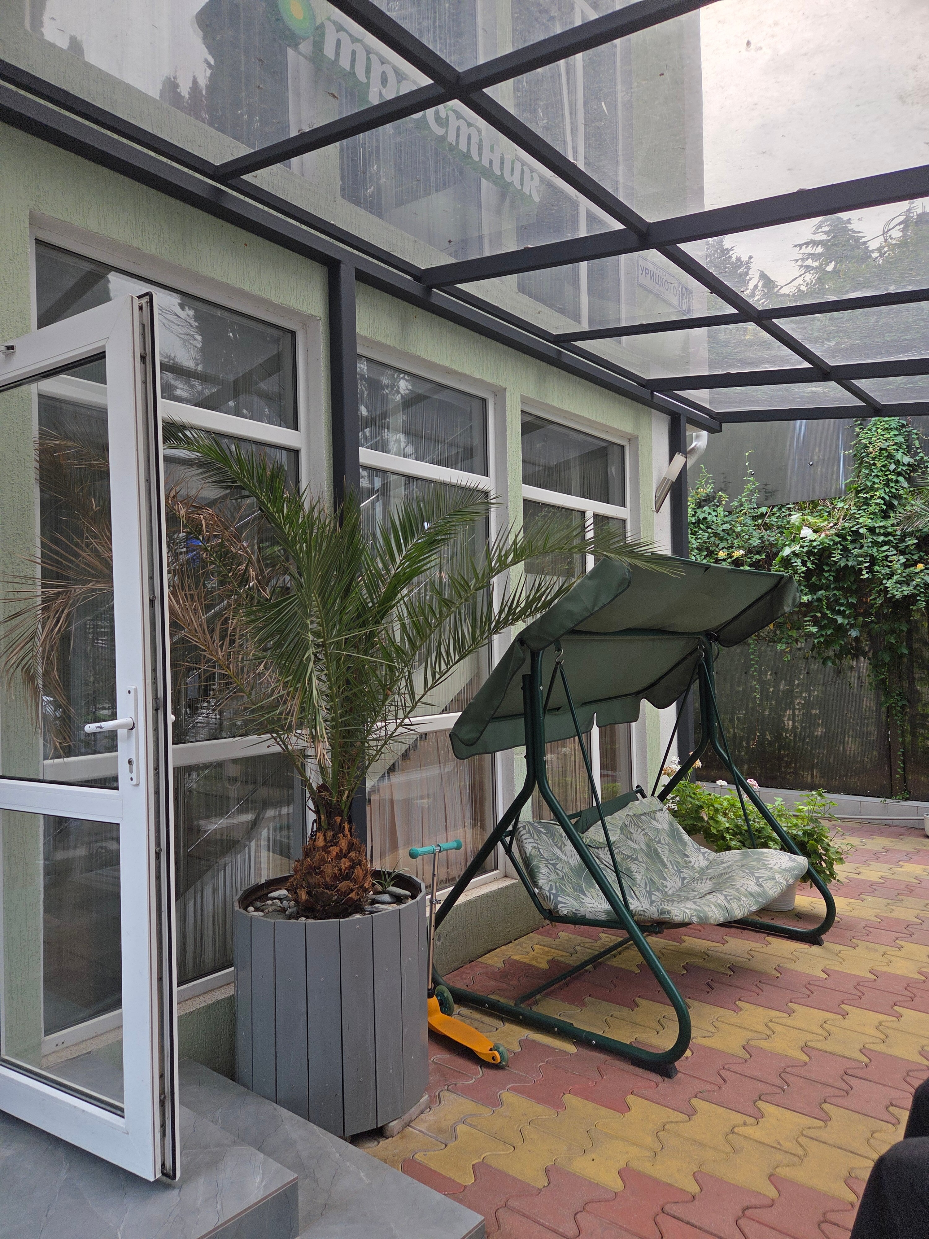 Фото Тростник