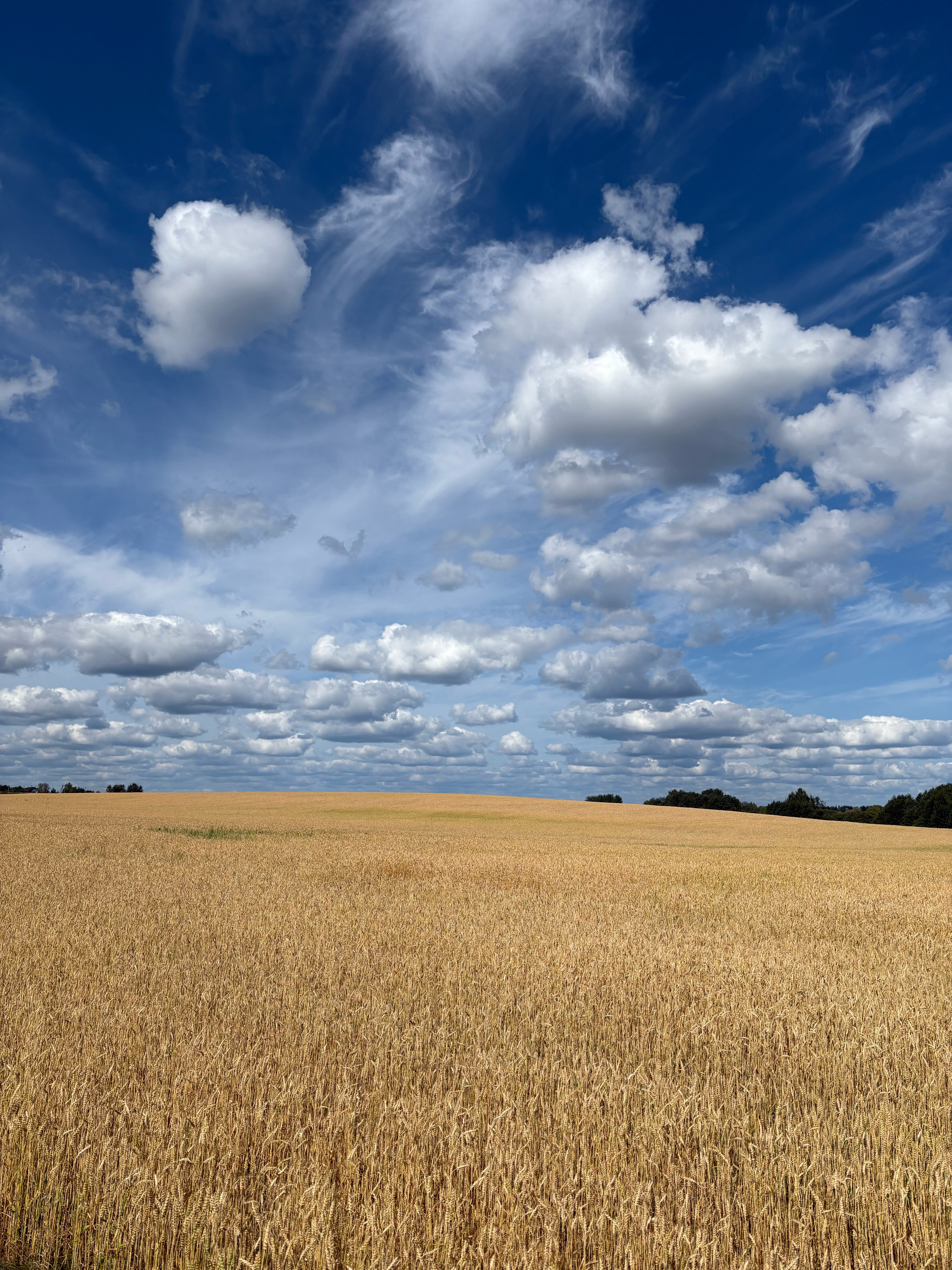 Фото Отрада
