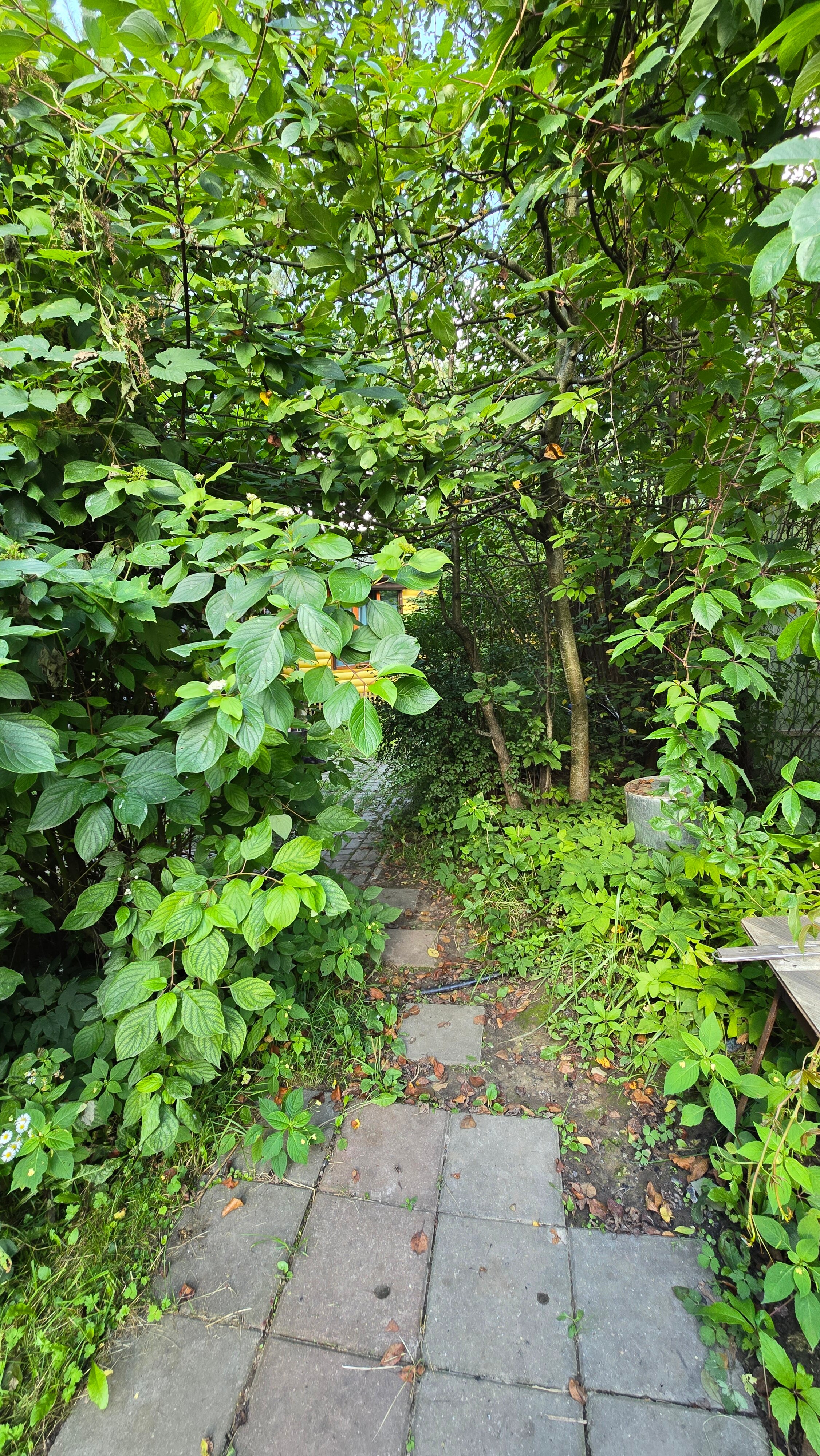 Фото Дача в Переделкино