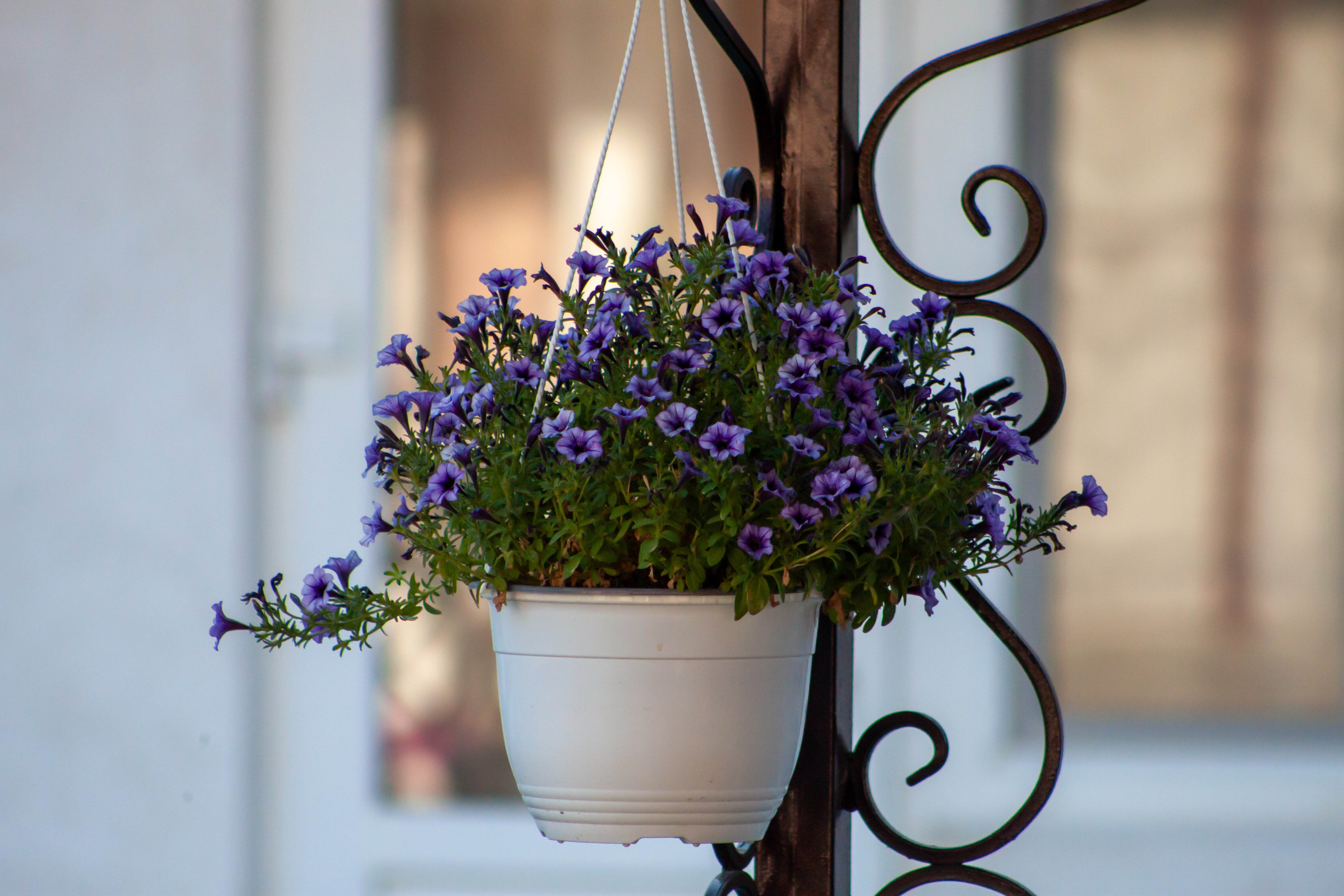 Фото На Маячной