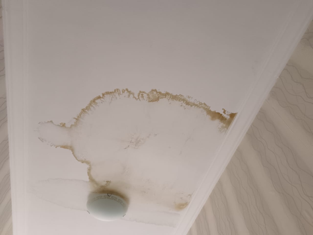 Фото Невские звезды