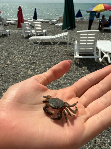 Гостиница Черноморская жемчужина в Очамчыре